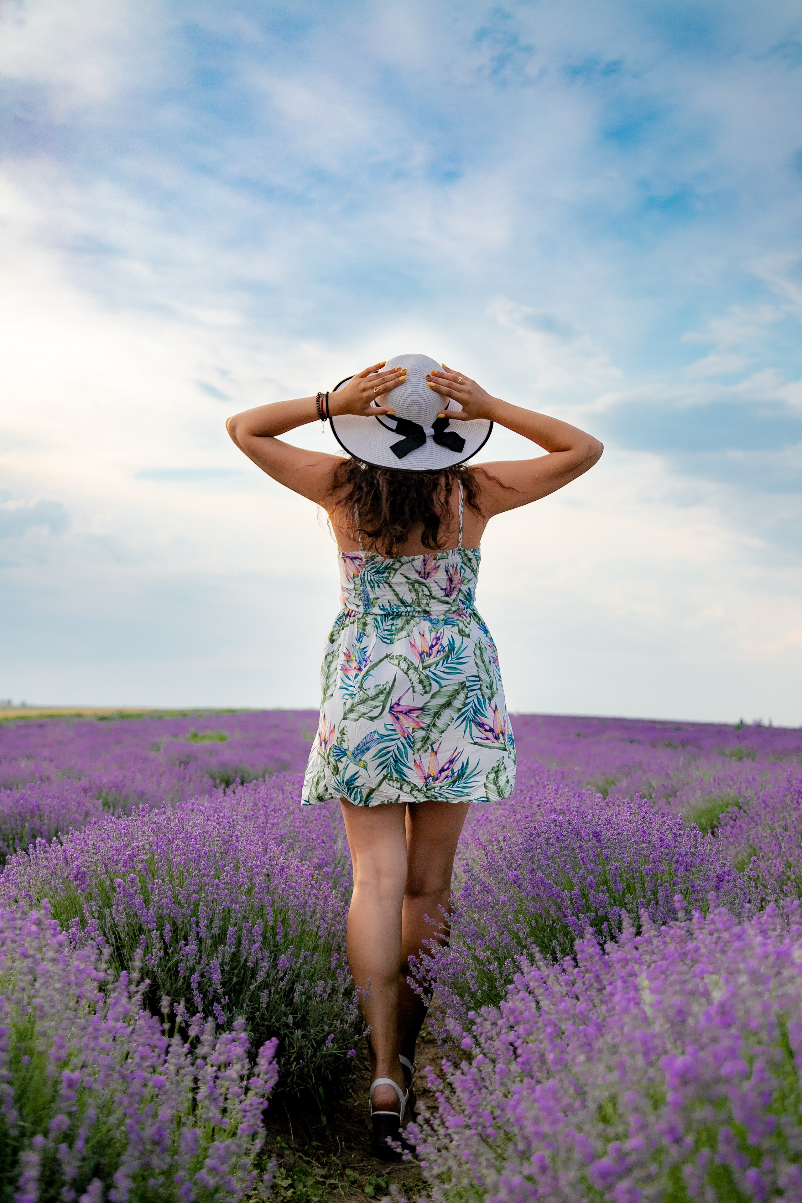 Lavander. Anastasiia Tkachova — Photography & Branding