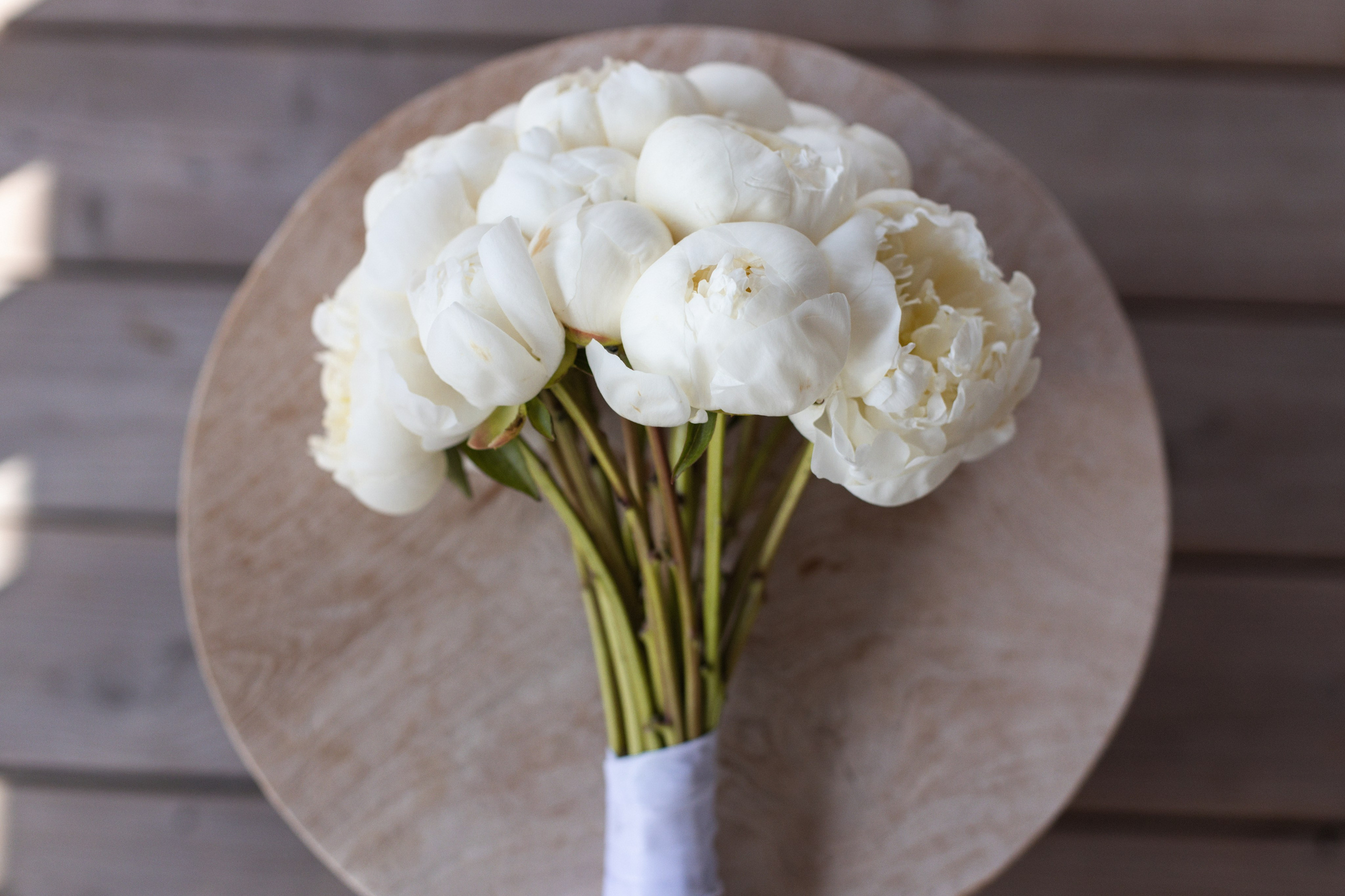 F & V. Фотограф в Южном Уэльсе — семейная, портретная и брендинг съёмка