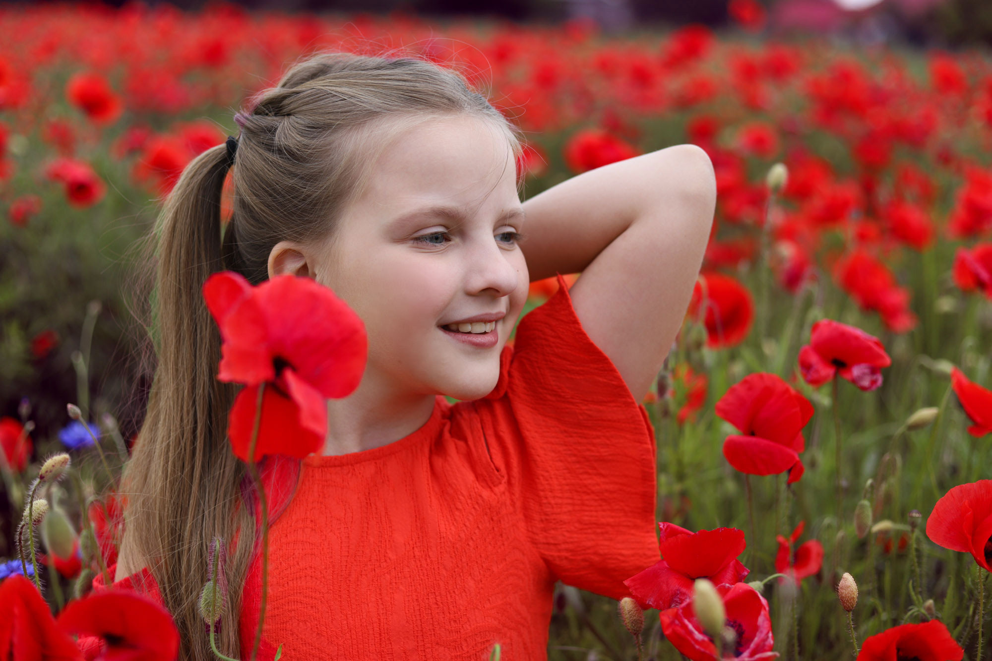 Фотосессия в маковом поле. Сімейний та дитячий фотограф Київ, Ірпінь, Буча — Галина Пивоварова