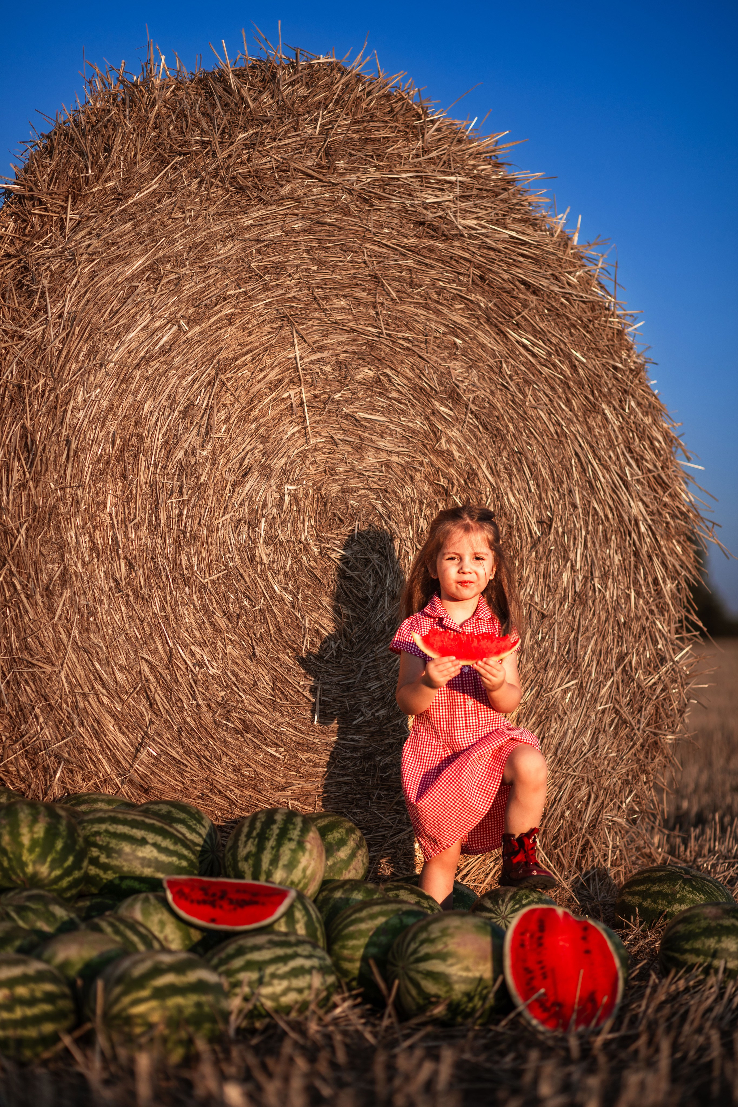 Дитяча фотозйомка в пшеничному полі. Сімейний та дитячий фотограф Київ, Ірпінь, Буча — Галина Пивоварова
