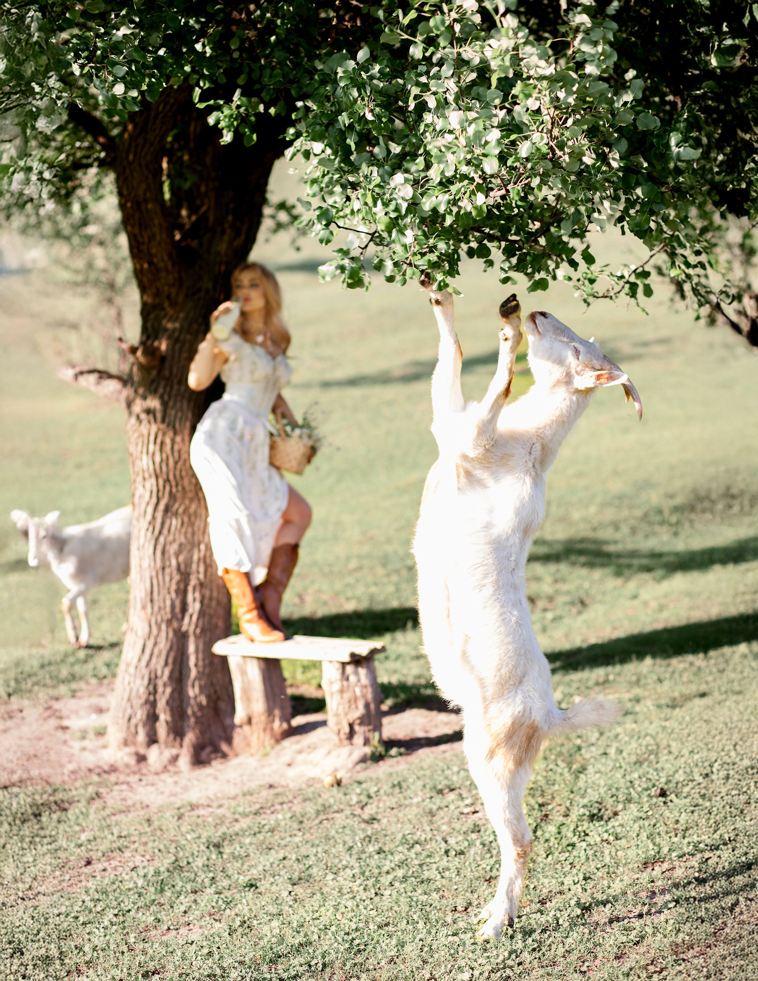 Фотозйомка на фермі з Олесею. Сімейний та дитячий фотограф Київ, Ірпінь, Буча — Галина Пивоварова