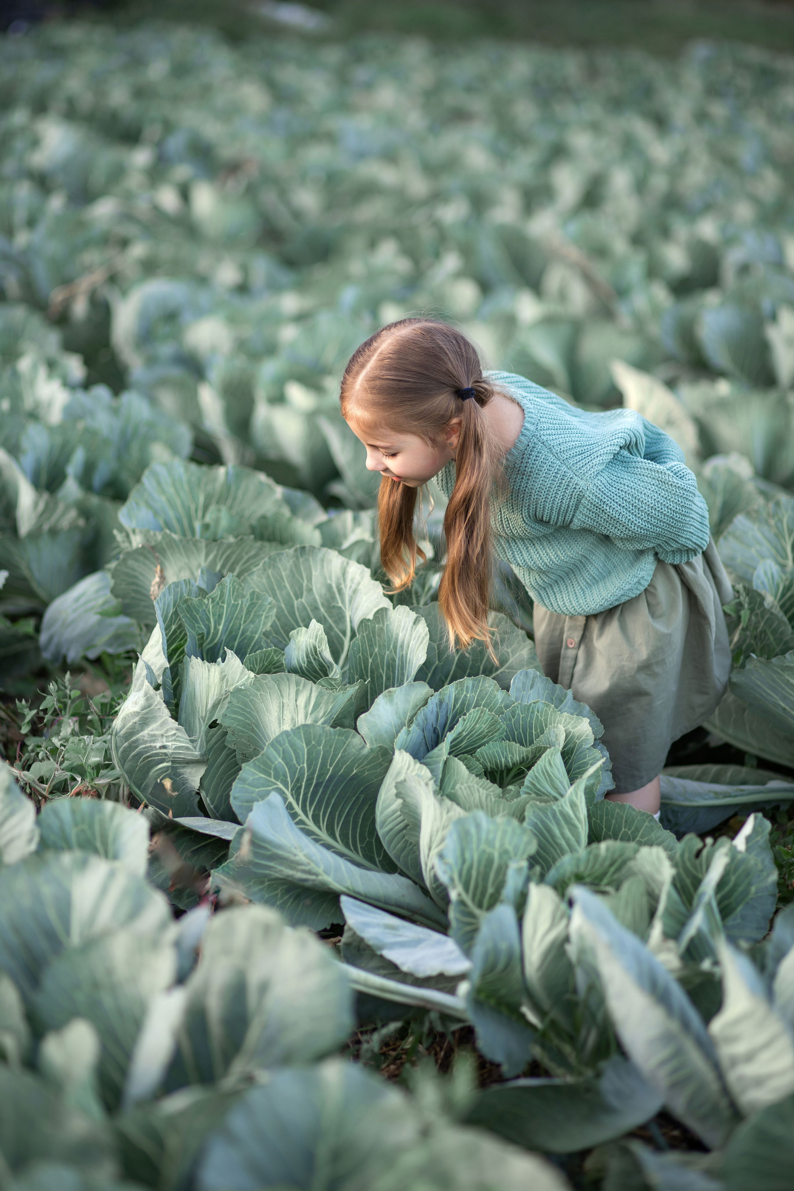 Дитяча фотозйомка в капусті з Машею. Сімейний та дитячий фотограф Київ, Ірпінь, Буча — Галина Пивоварова
