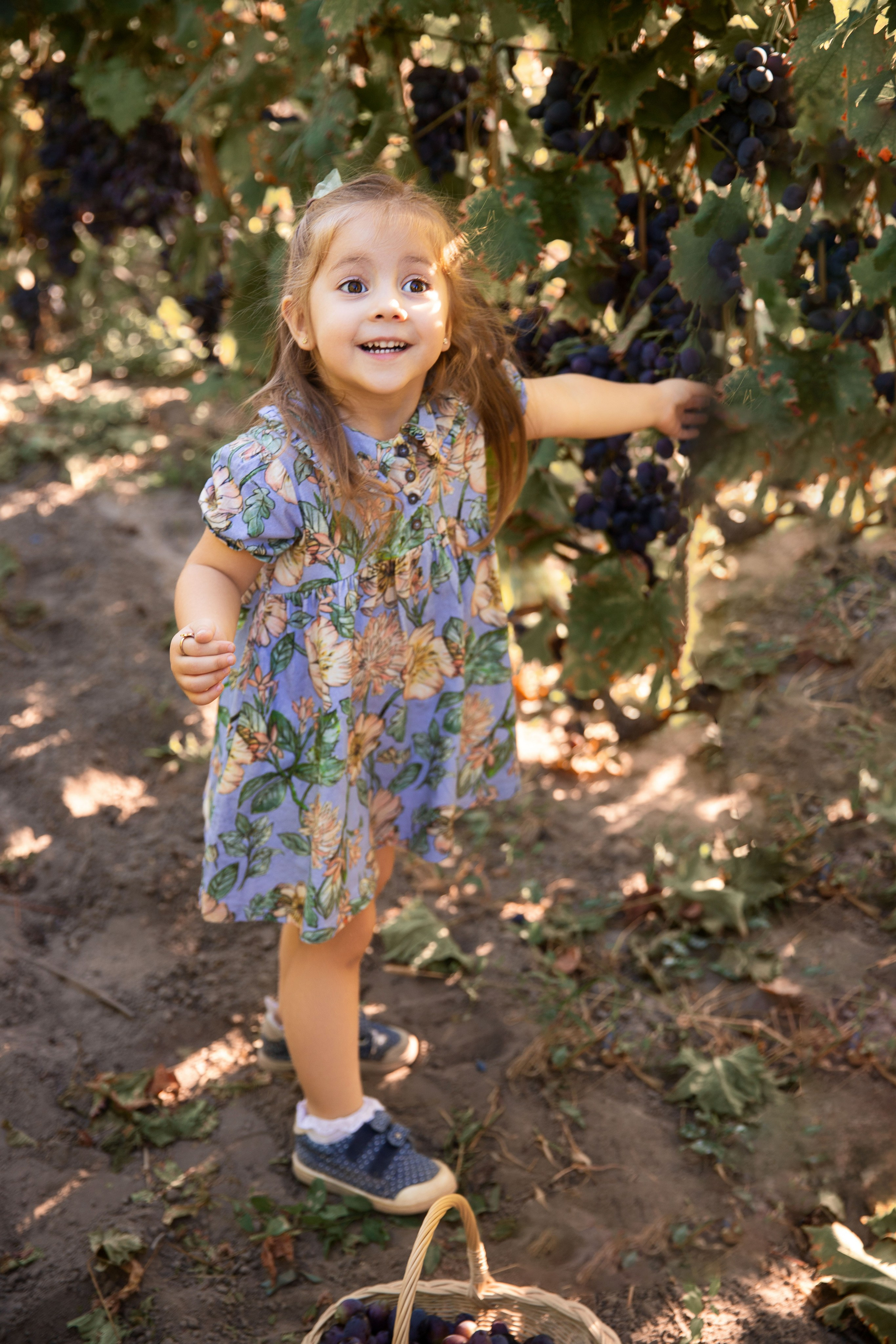 Дитяча фотозйомка в фруктових садах. Сімейний та дитячий фотограф Київ, Ірпінь, Буча — Галина Пивоварова