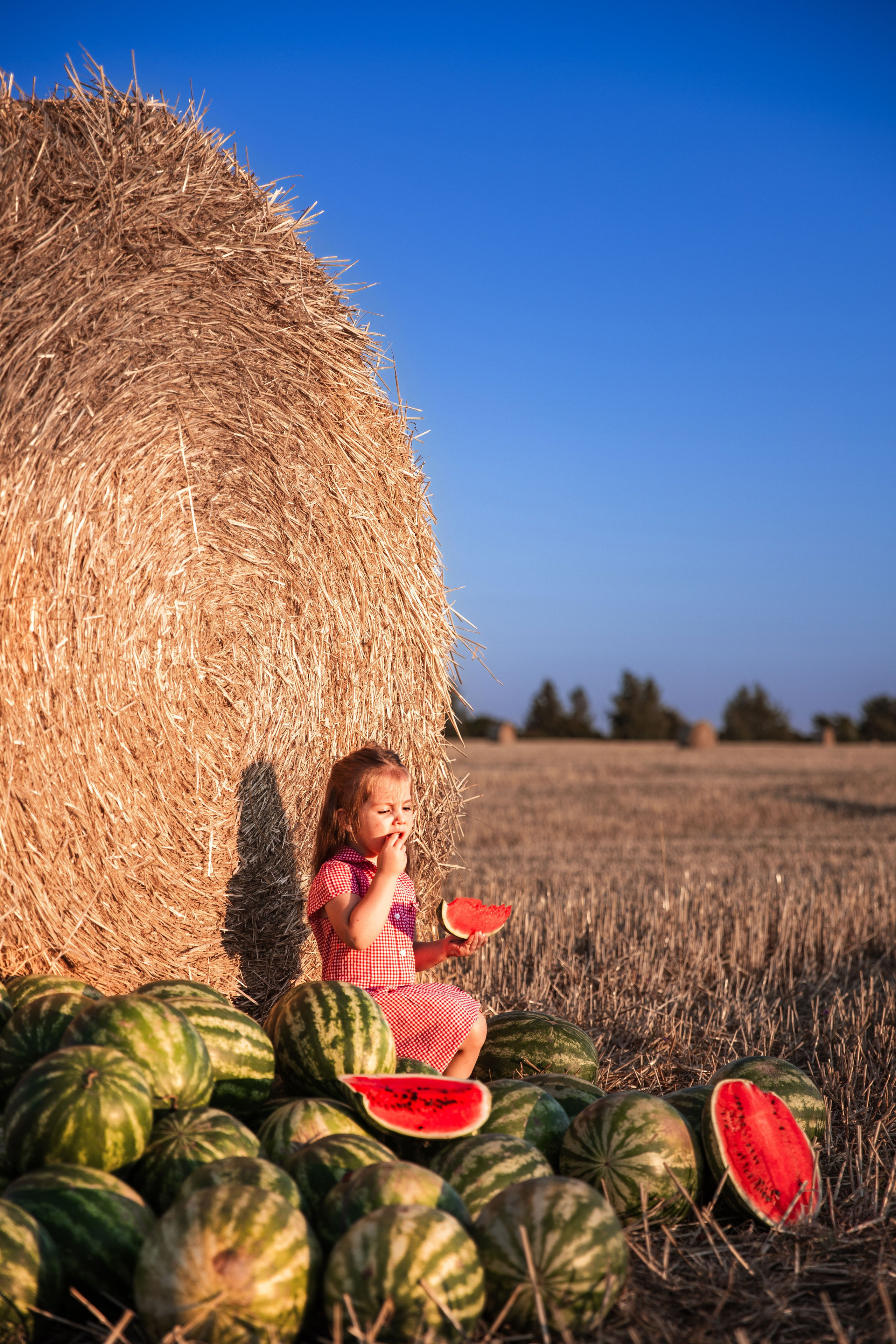 Фотопрогулянка пшеничним полем з Анастасією. Сімейний та дитячий фотограф Київ, Ірпінь, Буча — Галина Пивоварова