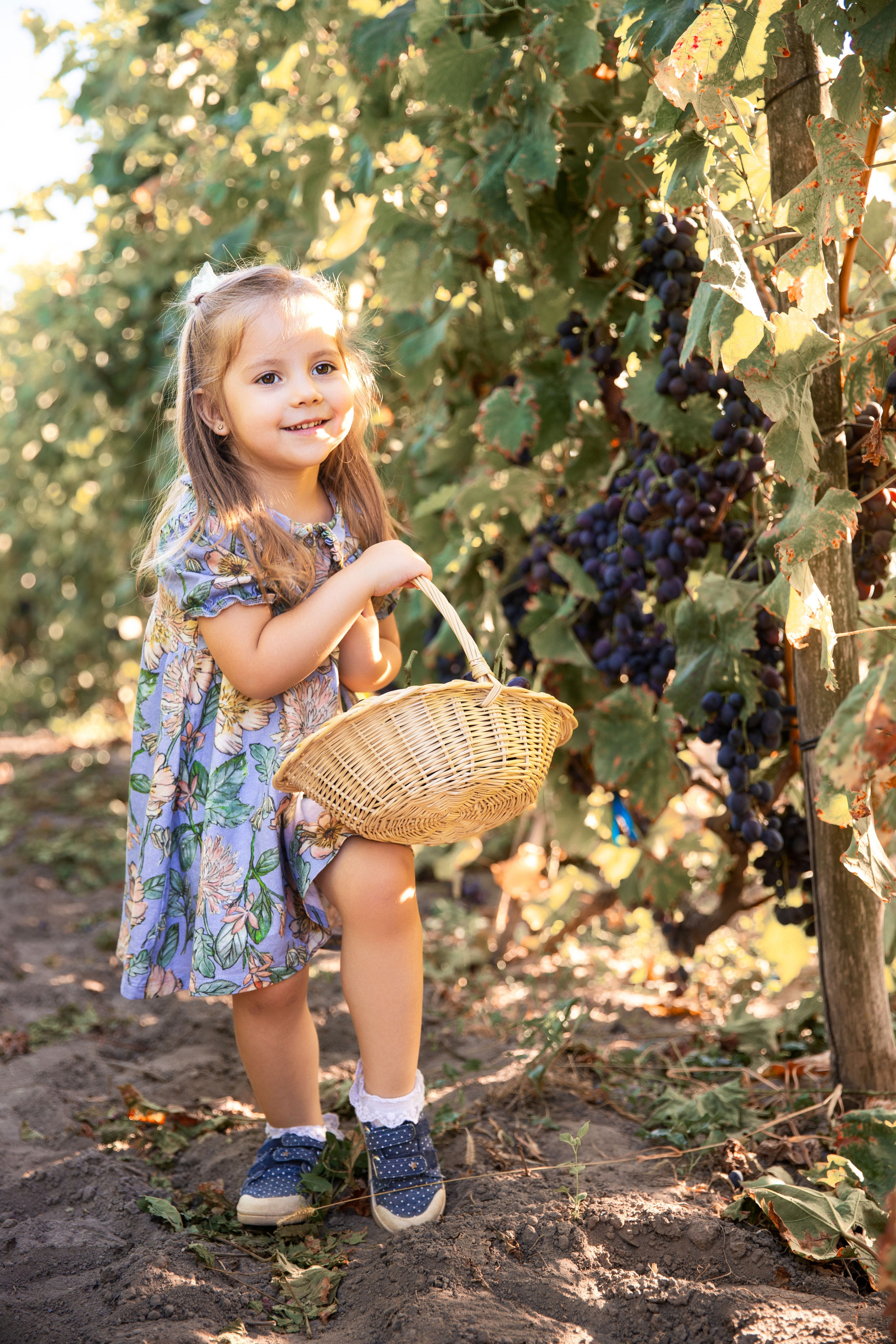 Дитяча фотозйомка в фруктових садах. Сімейний та дитячий фотограф Київ, Ірпінь, Буча — Галина Пивоварова