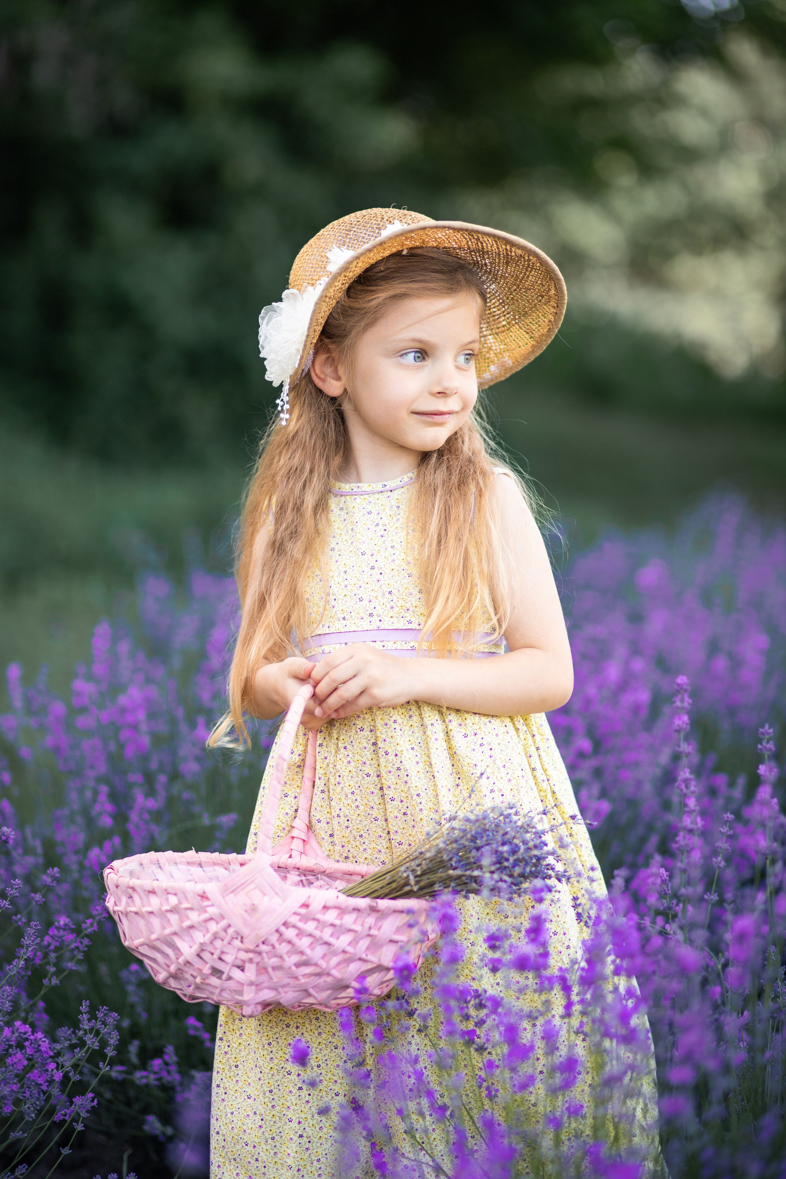 Сімейна фотозйомка Інни і Дариночки в лаванді. Сімейний та дитячий фотограф Київ, Ірпінь, Буча — Галина Пивоварова