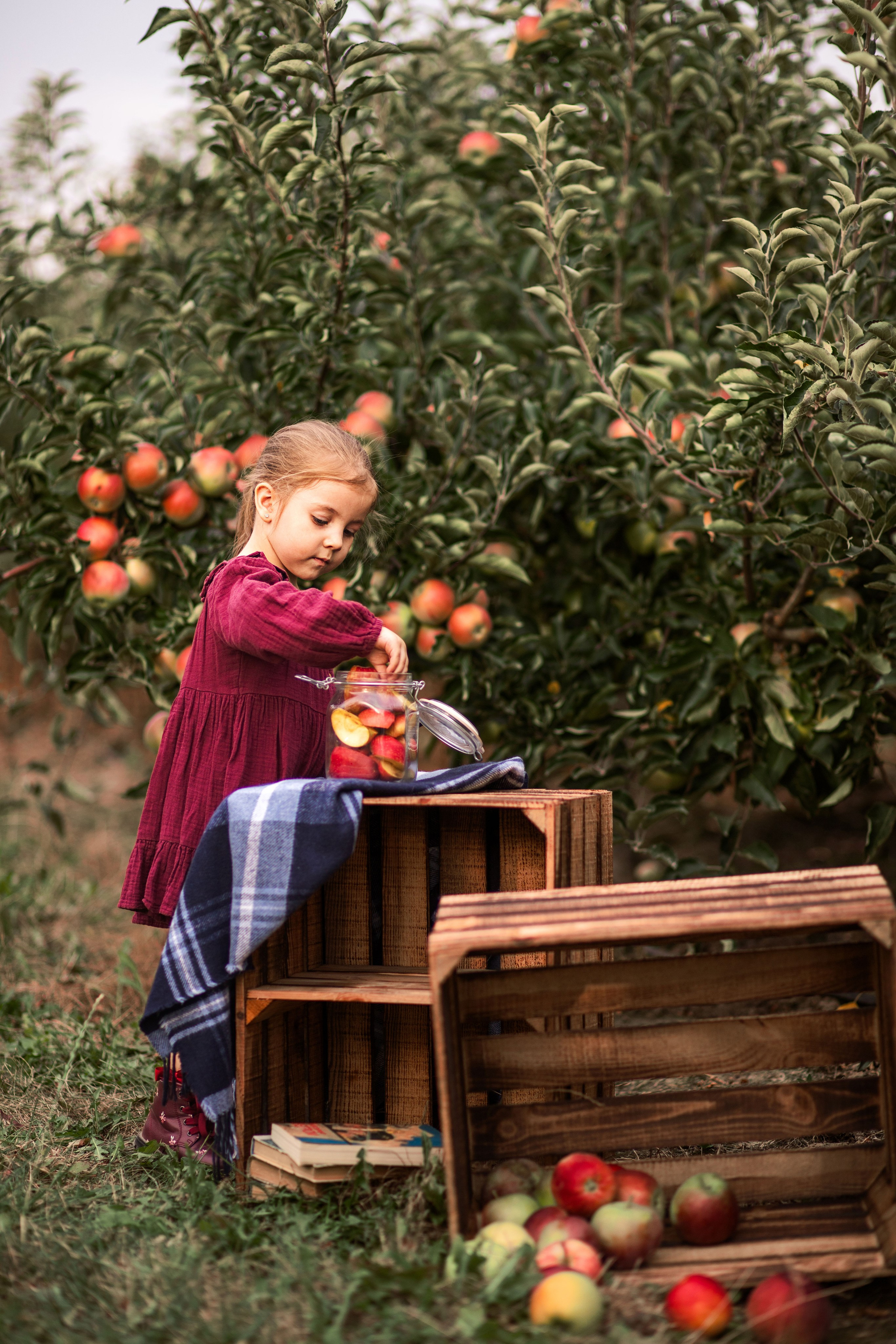 Дитяча фотозйомка в фруктових садах. Сімейний та дитячий фотограф Київ, Ірпінь, Буча — Галина Пивоварова