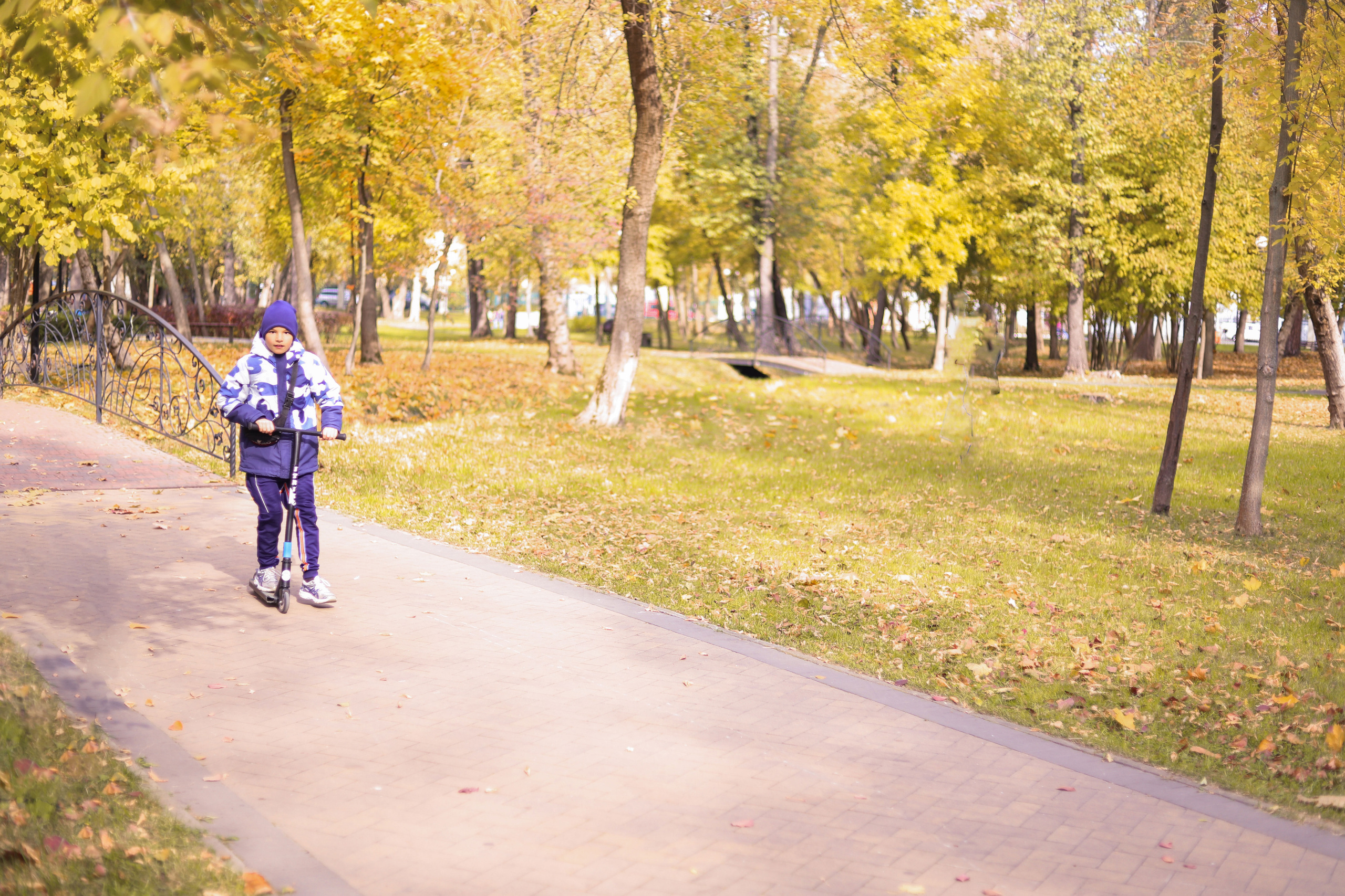 Школьная осенняя фотопрогулка. Сімейний та дитячий фотограф Київ, Ірпінь, Буча — Галина Пивоварова