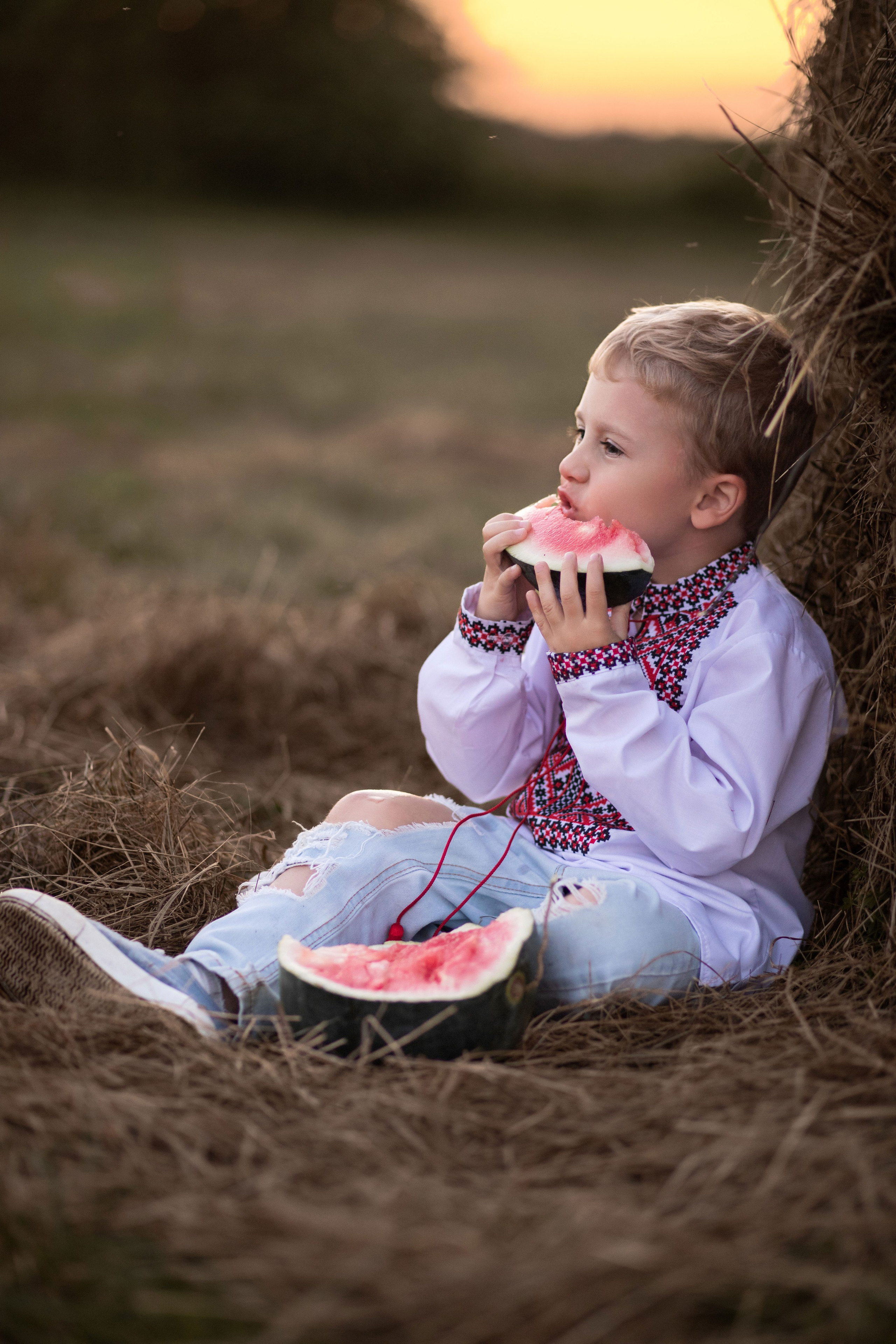 Дитяча зйомка у полі з Гектором. Сімейний та дитячий фотограф Київ, Ірпінь, Буча — Галина Пивоварова