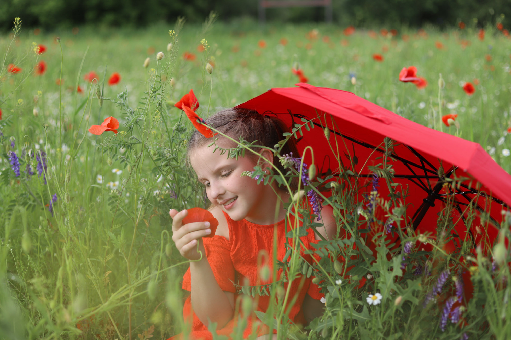 Фотосессия в маковом поле. Сімейний та дитячий фотограф Київ, Ірпінь, Буча — Галина Пивоварова