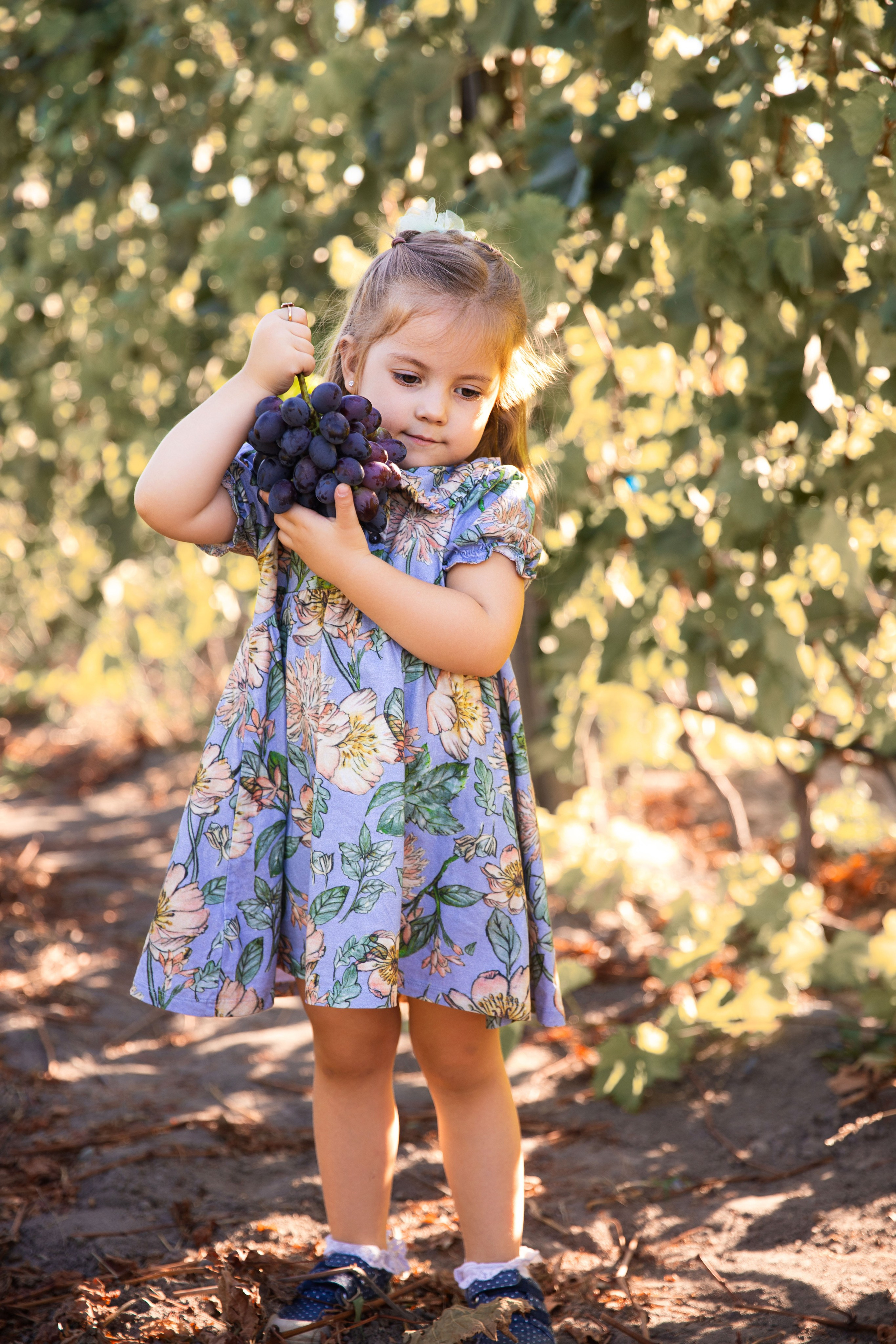 Дитяча фотозйомка в фруктових садах. Сімейний та дитячий фотограф Київ, Ірпінь, Буча — Галина Пивоварова