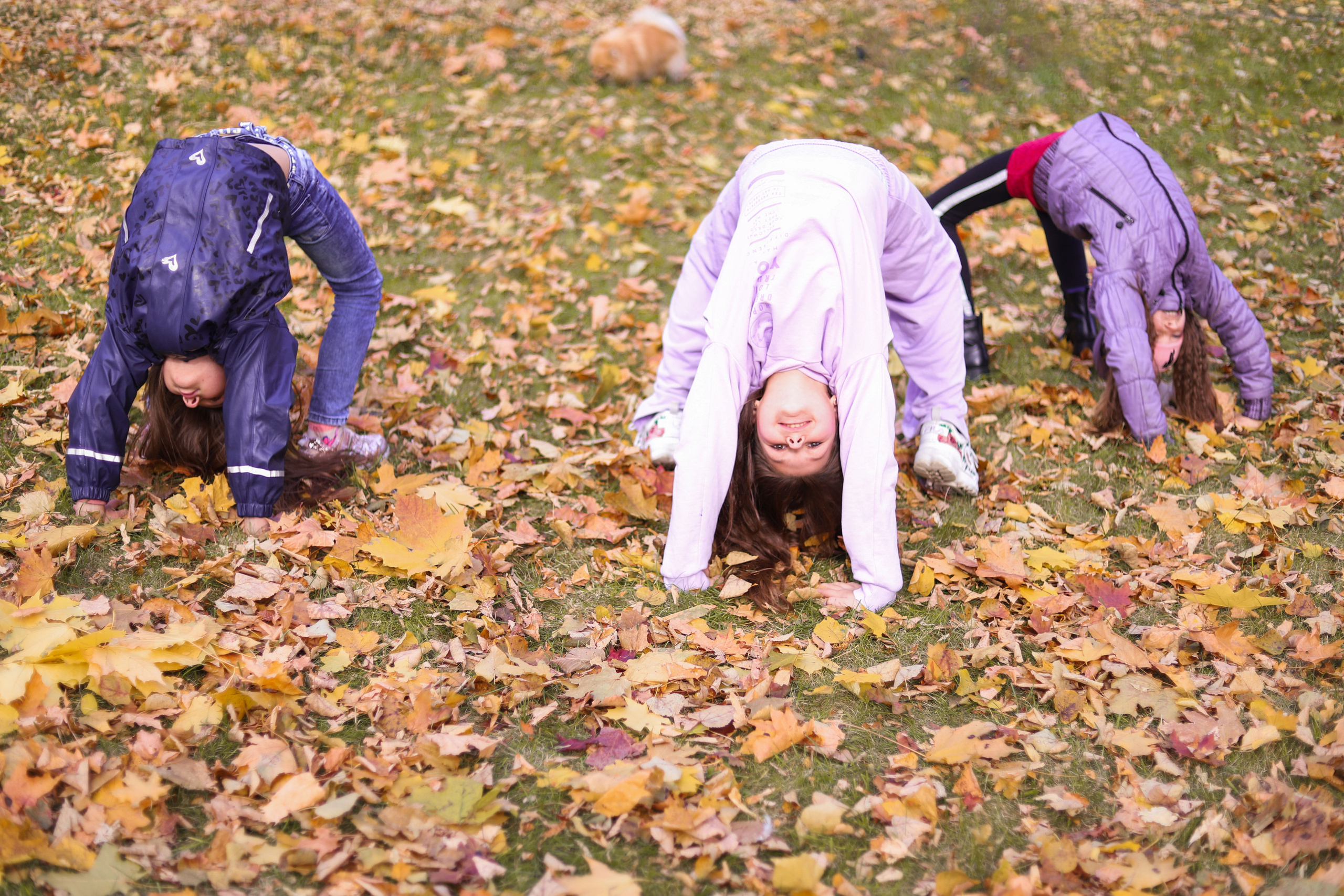 Школьная осенняя фотопрогулка. Сімейний та дитячий фотограф Київ, Ірпінь, Буча — Галина Пивоварова