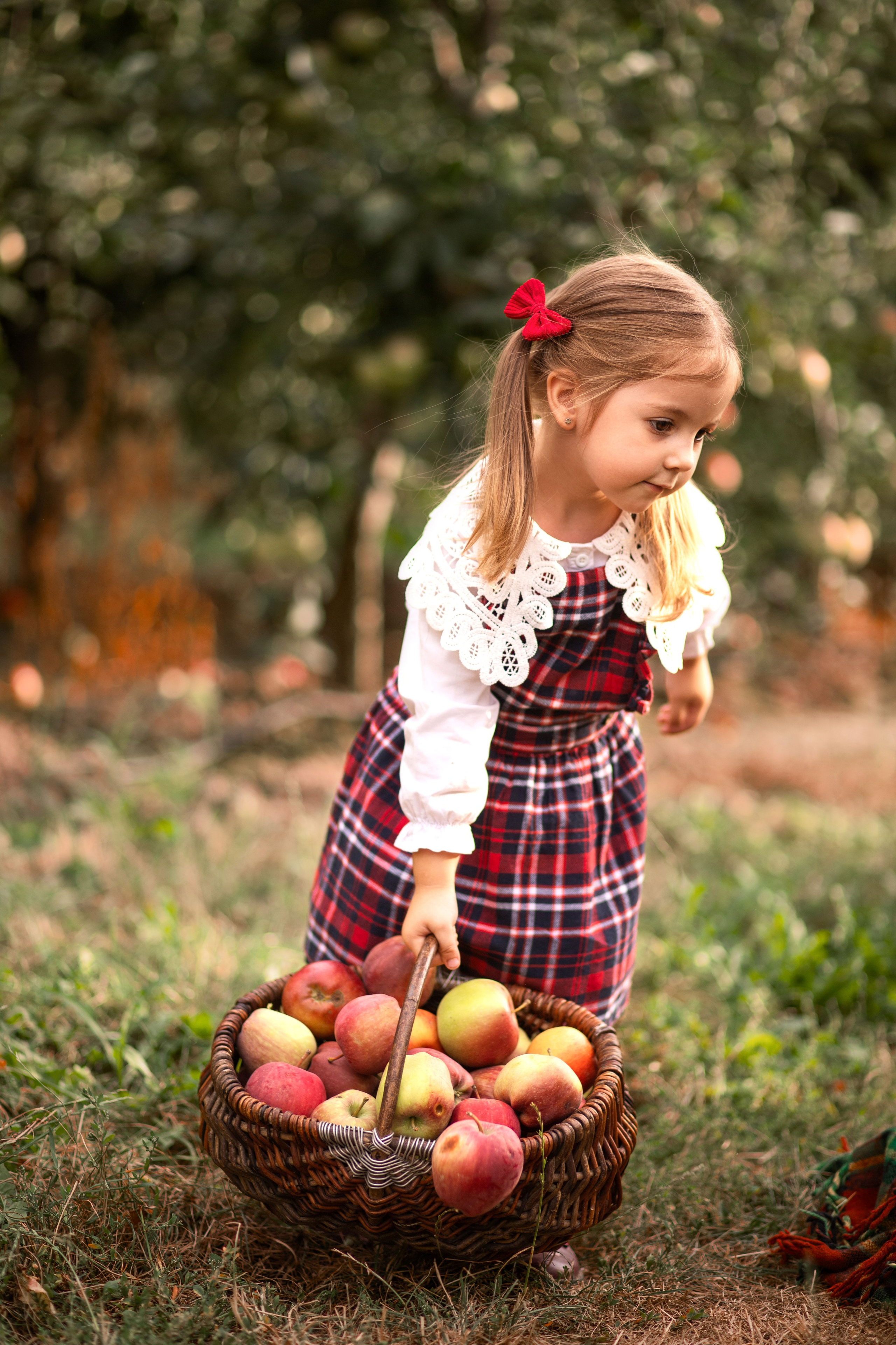 Дитяча фотозйомка в фруктових садах. Сімейний та дитячий фотограф Київ, Ірпінь, Буча — Галина Пивоварова