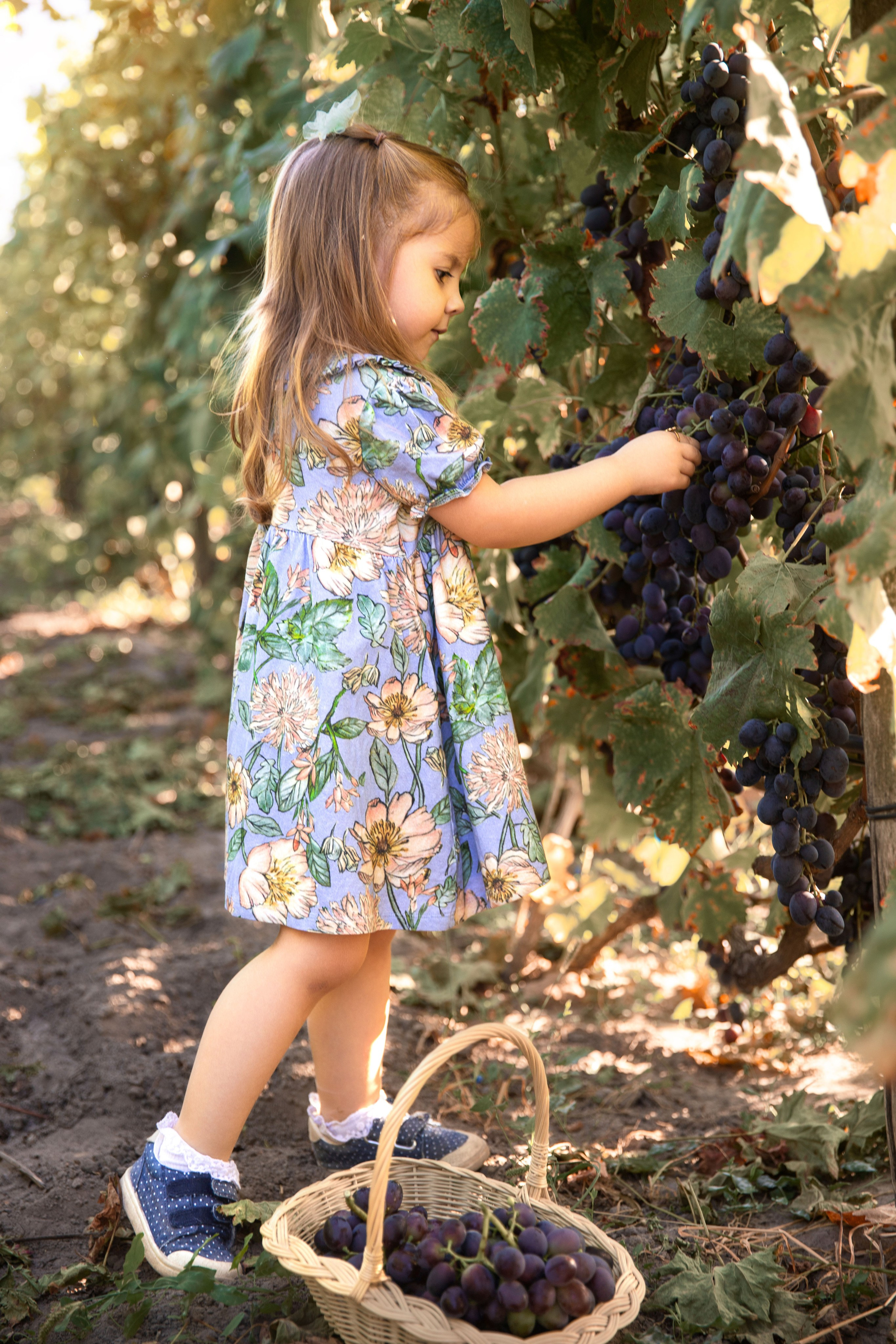Дитяча фотозйомка в фруктових садах. Сімейний та дитячий фотограф Київ, Ірпінь, Буча — Галина Пивоварова