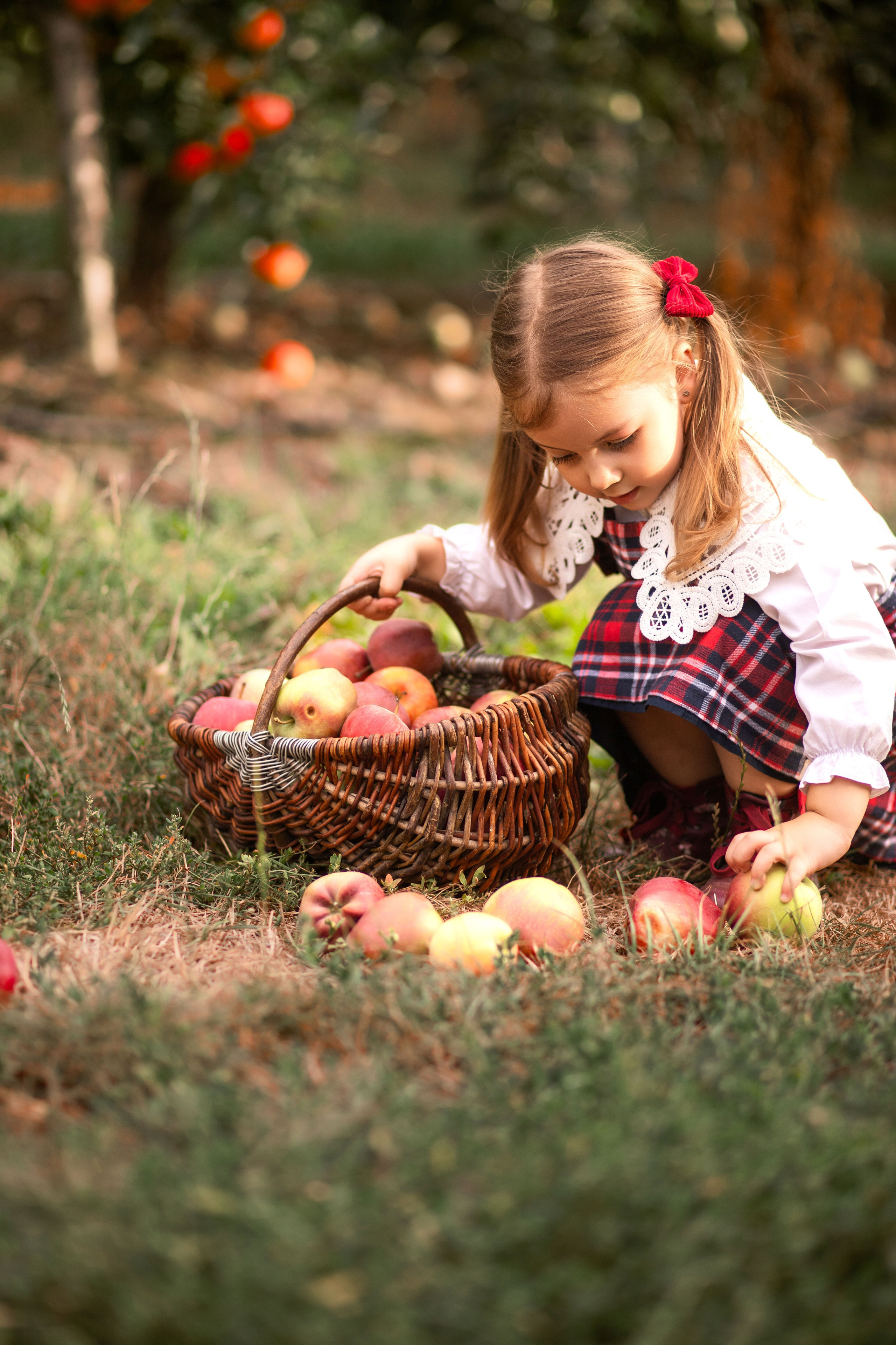 Дитяча фотозйомка в фруктових садах. Сімейний та дитячий фотограф Київ, Ірпінь, Буча — Галина Пивоварова