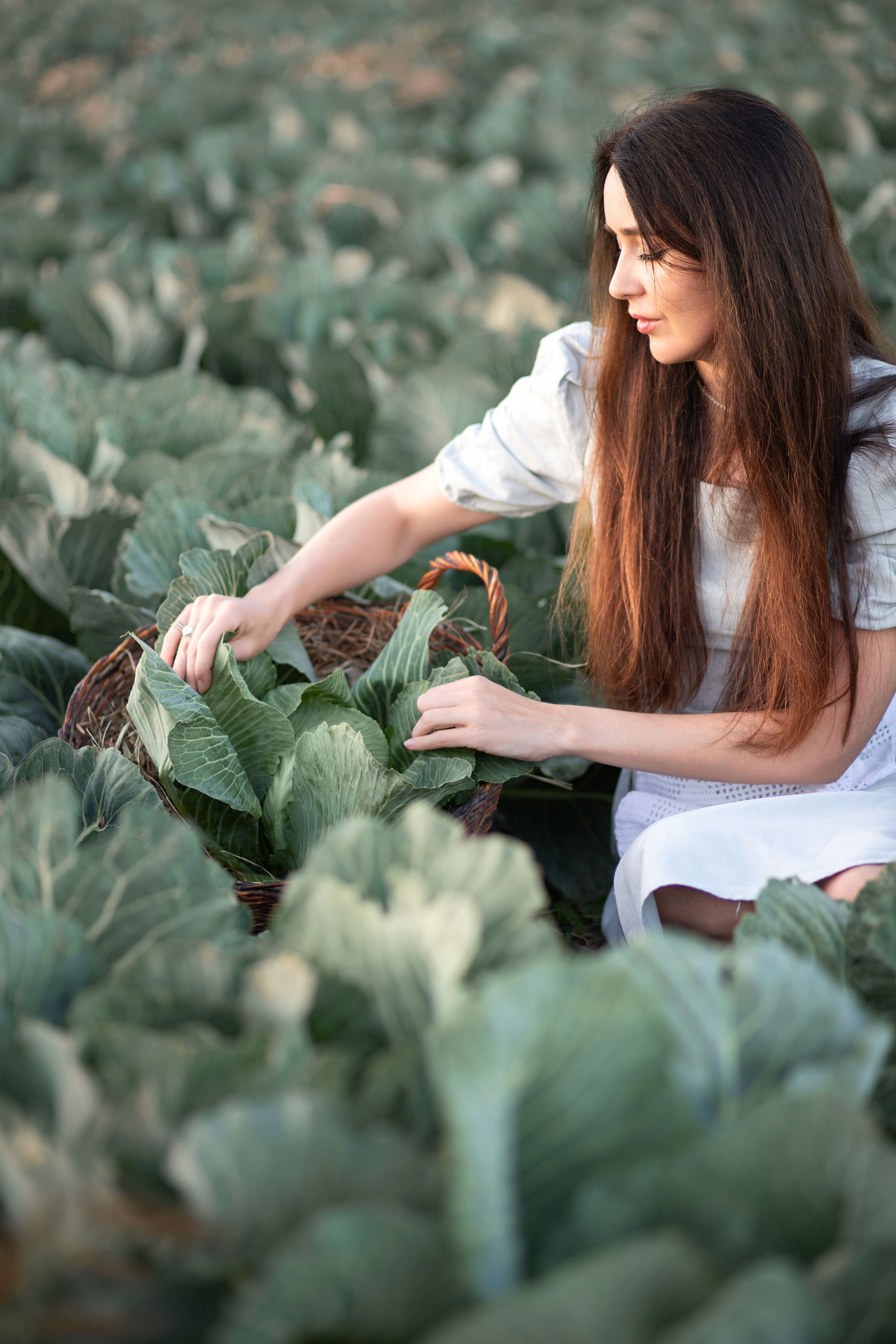 Фотозйомка в капусті з Танею. Сімейний та дитячий фотограф Київ, Ірпінь, Буча — Галина Пивоварова