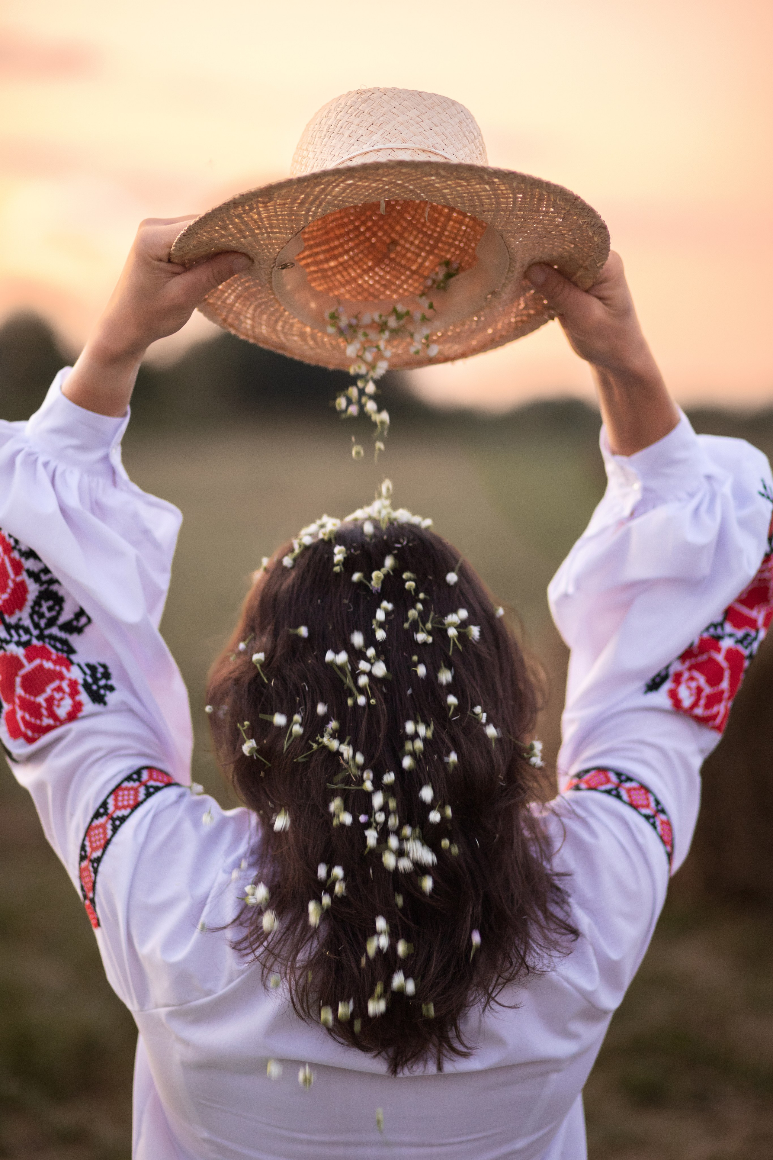 Сімейна фотопрогулянка полем. Сімейний та дитячий фотограф Київ, Ірпінь, Буча — Галина Пивоварова