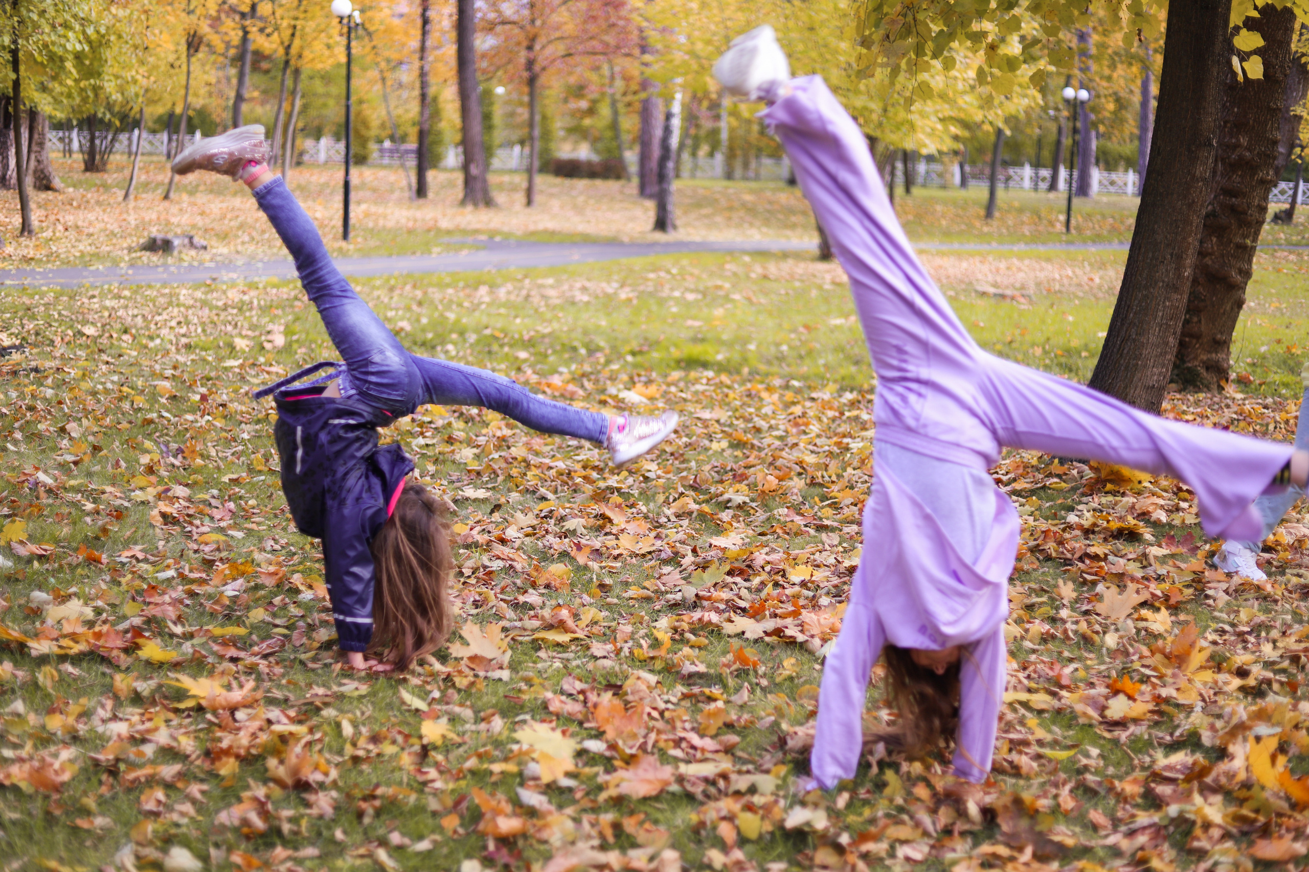 Школьная осенняя фотопрогулка. Сімейний та дитячий фотограф Київ, Ірпінь, Буча — Галина Пивоварова