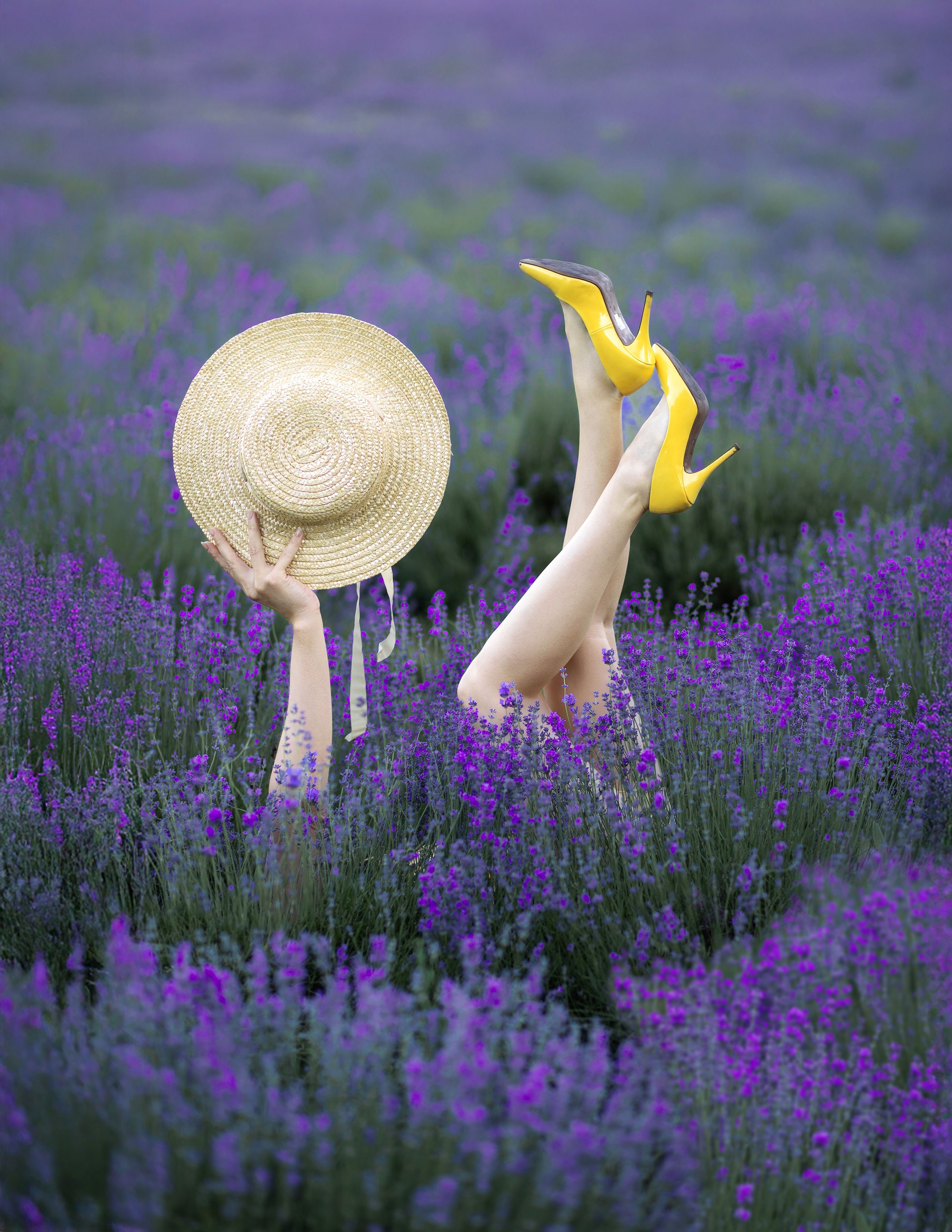 Фотозйомка «Лавандові історії». Сімейний та дитячий фотограф Київ, Ірпінь, Буча — Галина Пивоварова