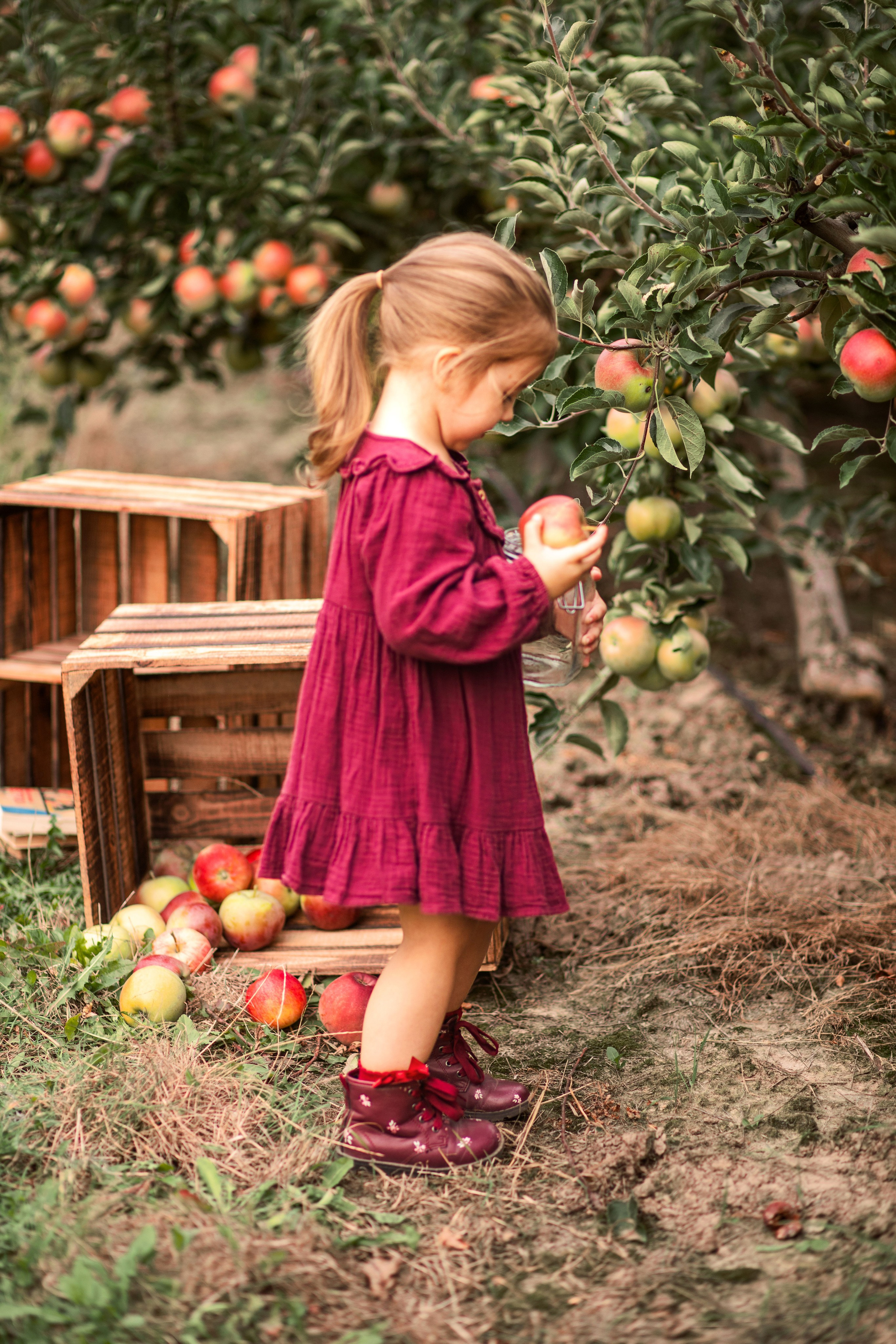 Дитяча фотозйомка в фруктових садах. Сімейний та дитячий фотограф Київ, Ірпінь, Буча — Галина Пивоварова