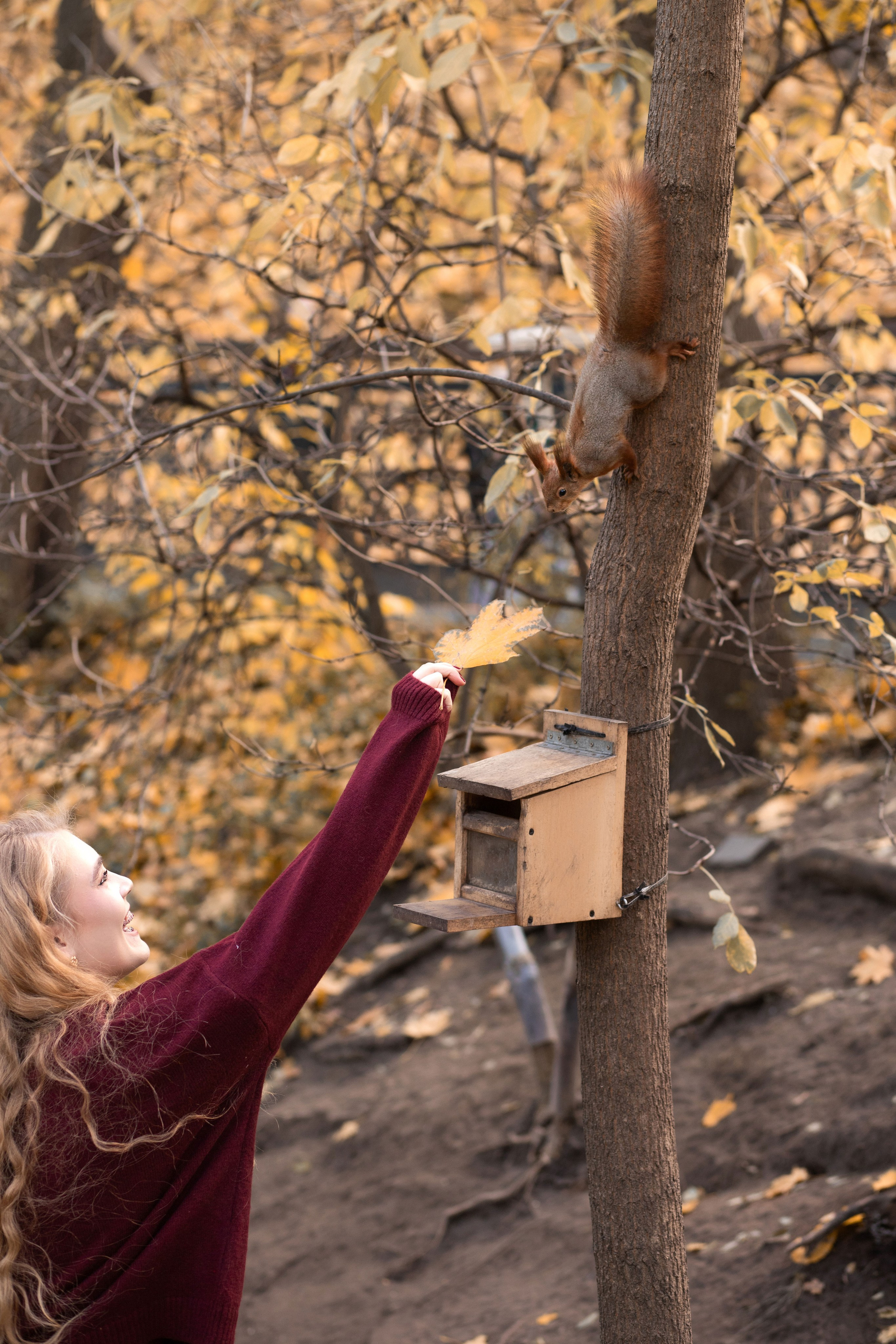Сімейна фотопрогулянка осіннім парком. Сімейний та дитячий фотограф Київ, Ірпінь, Буча — Галина Пивоварова