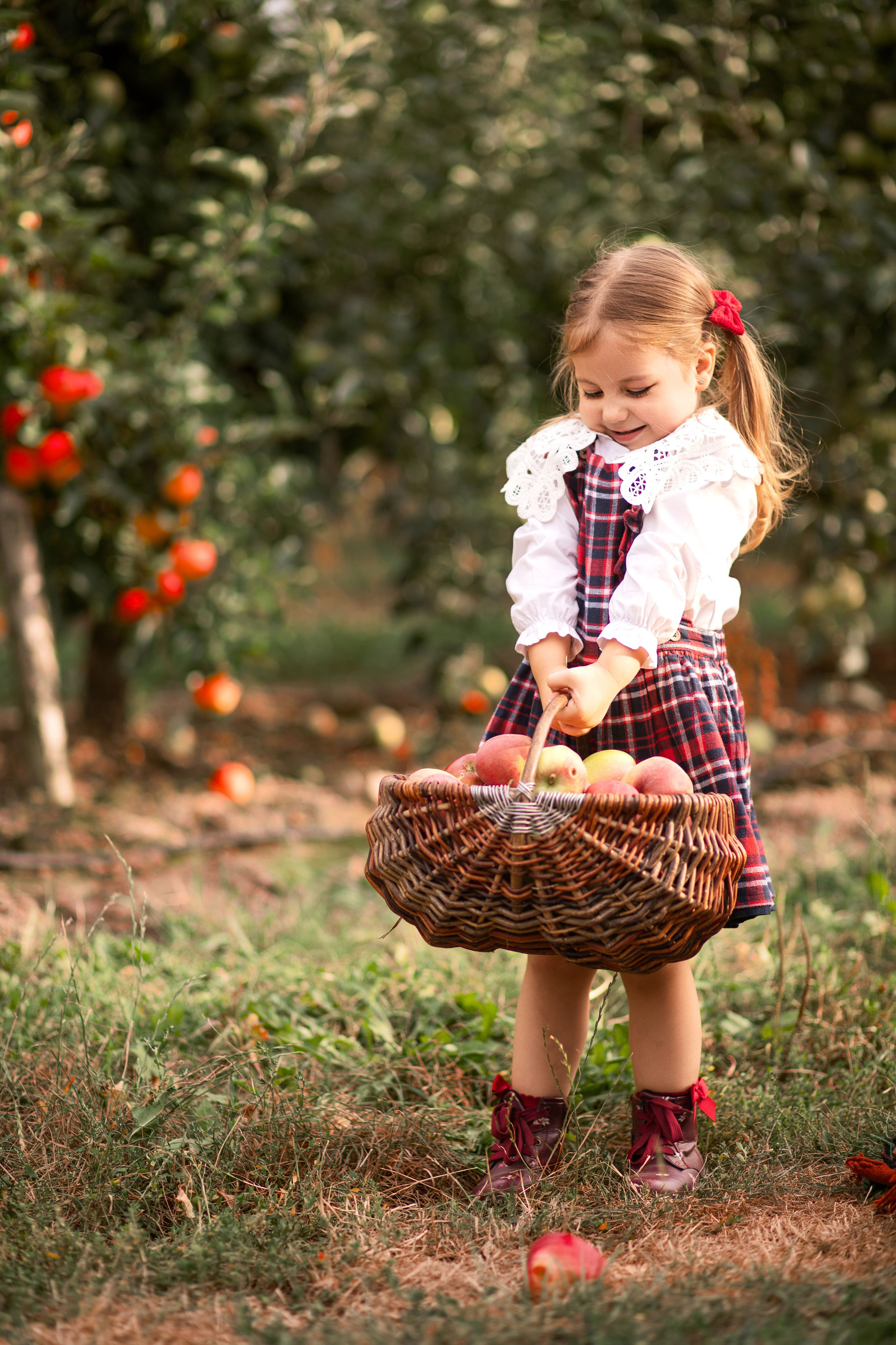 Дитяча фотозйомка в фруктових садах. Сімейний та дитячий фотограф Київ, Ірпінь, Буча — Галина Пивоварова