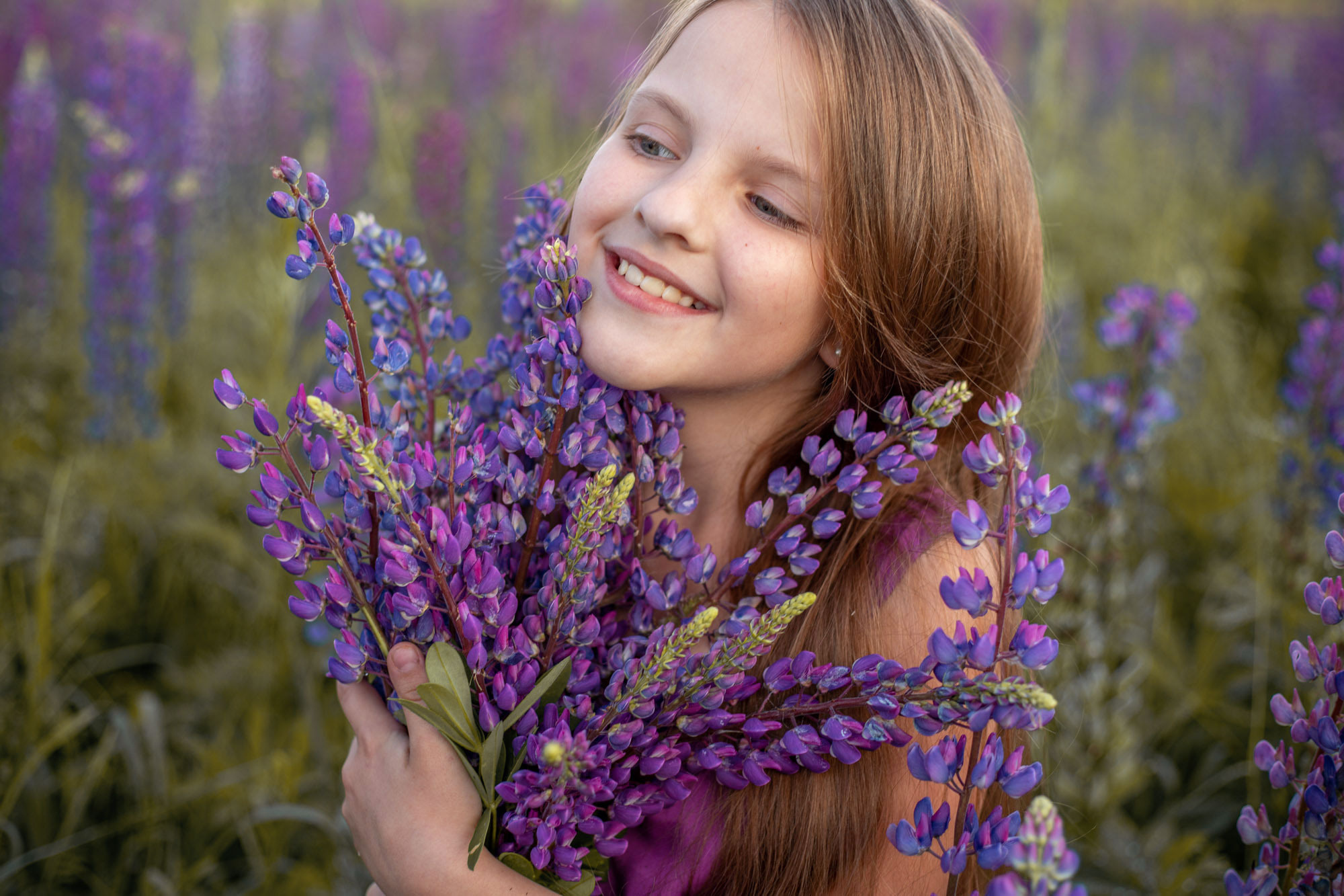 Фотосессия в люпинах. Сімейний та дитячий фотограф Київ, Ірпінь, Буча — Галина Пивоварова