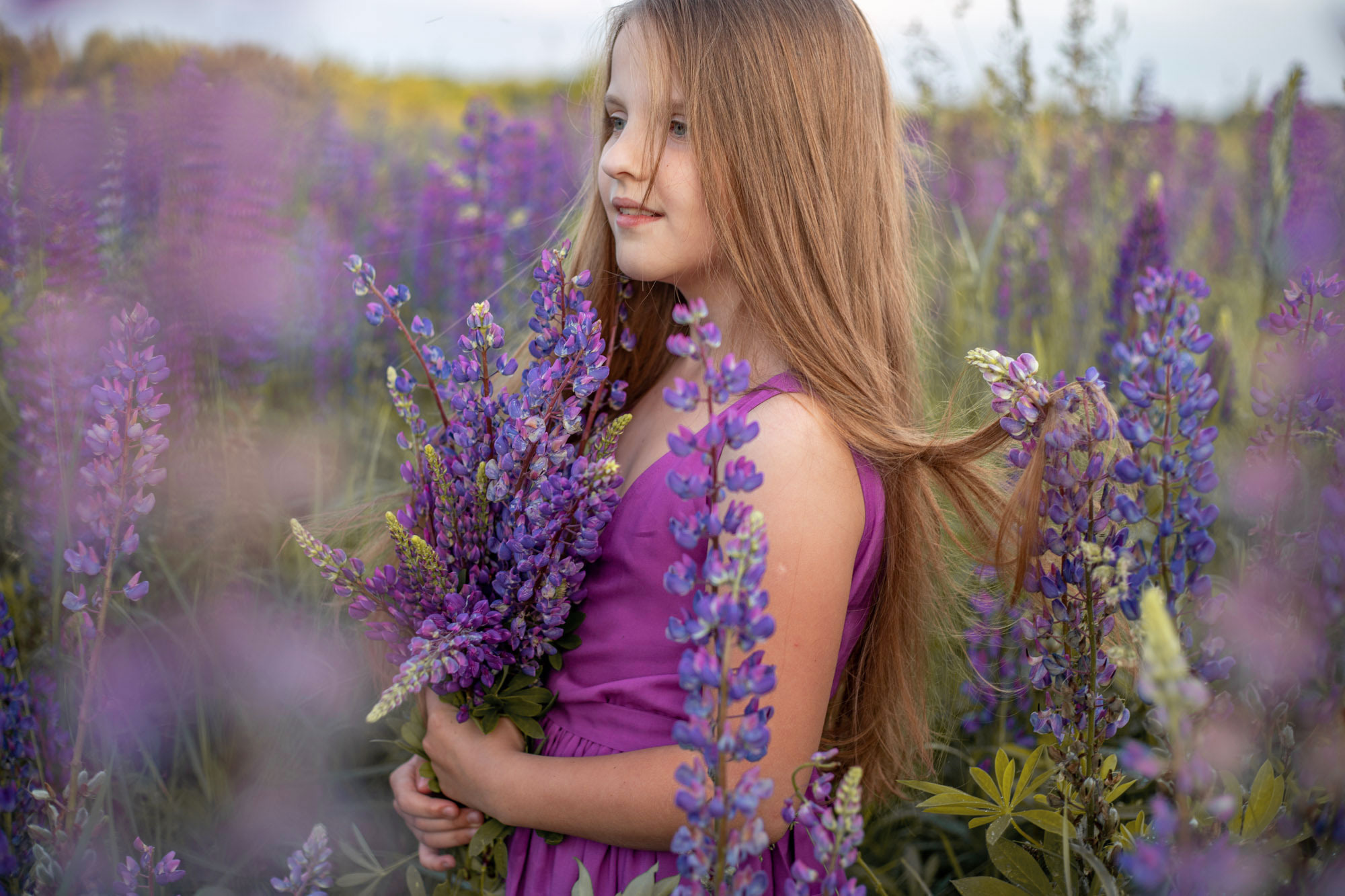 Фотосессия в люпинах. Сімейний та дитячий фотограф Київ, Ірпінь, Буча — Галина Пивоварова
