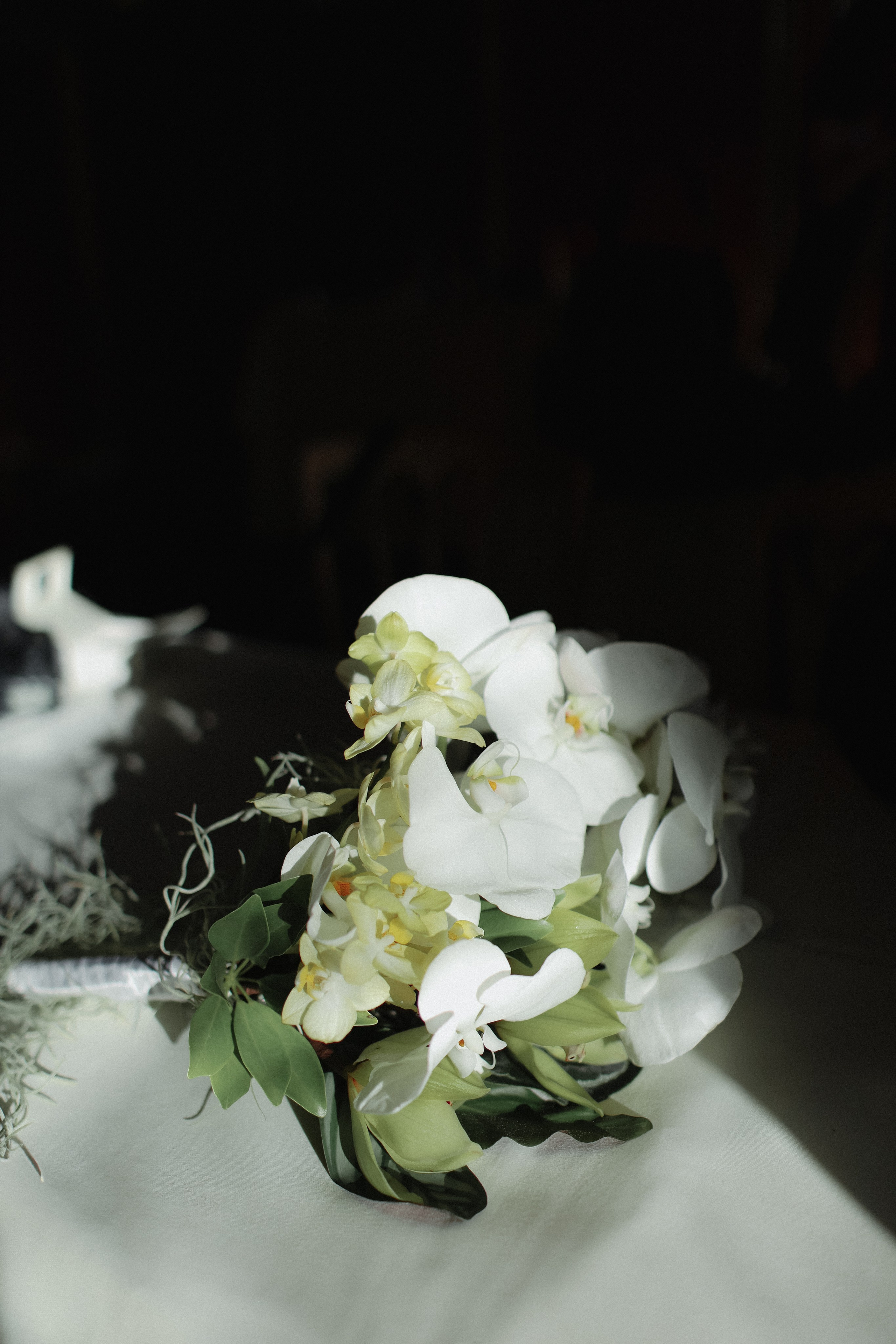 September 2024 — Wien wedding Valeria & Konstantin. Wedding & love story photographer Prague, Europe Elizaveta Gritsenko