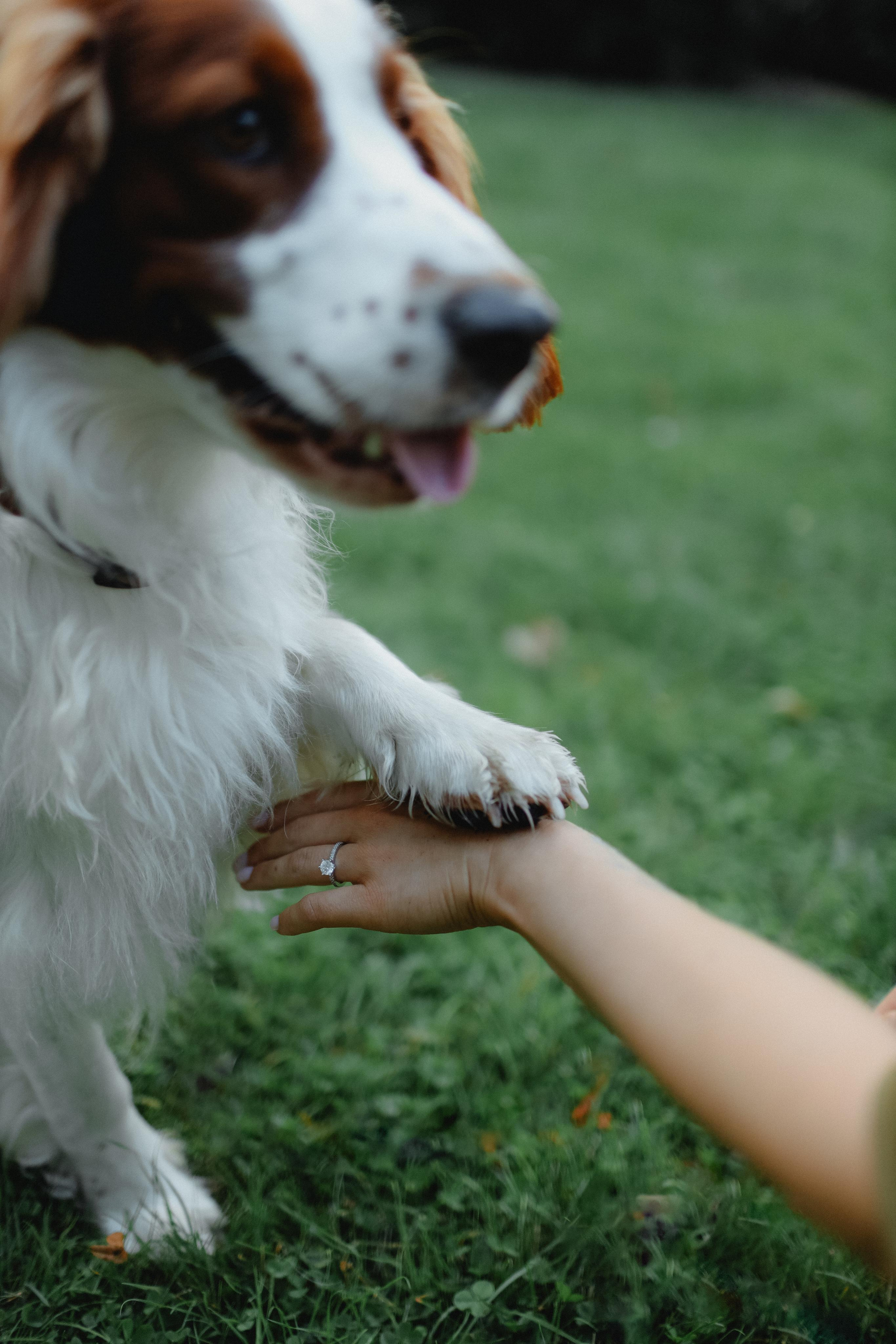 Šarka & Zbyněk. Свадебный, лав стори фотограф в Праге, Европе Елизавета Гриценко