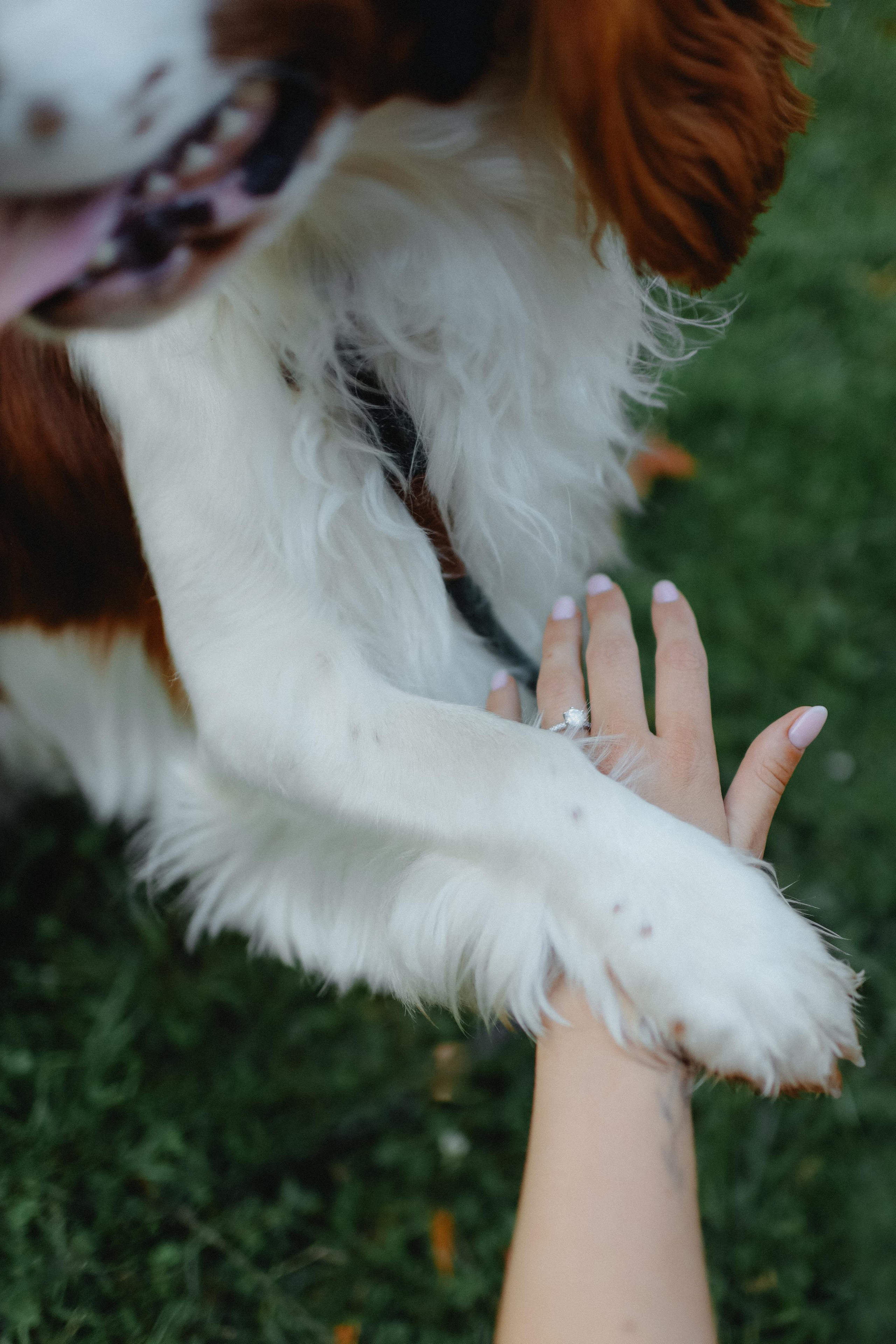 Šarka & Zbyněk. Свадебный, лав стори фотограф в Праге, Европе Елизавета Гриценко