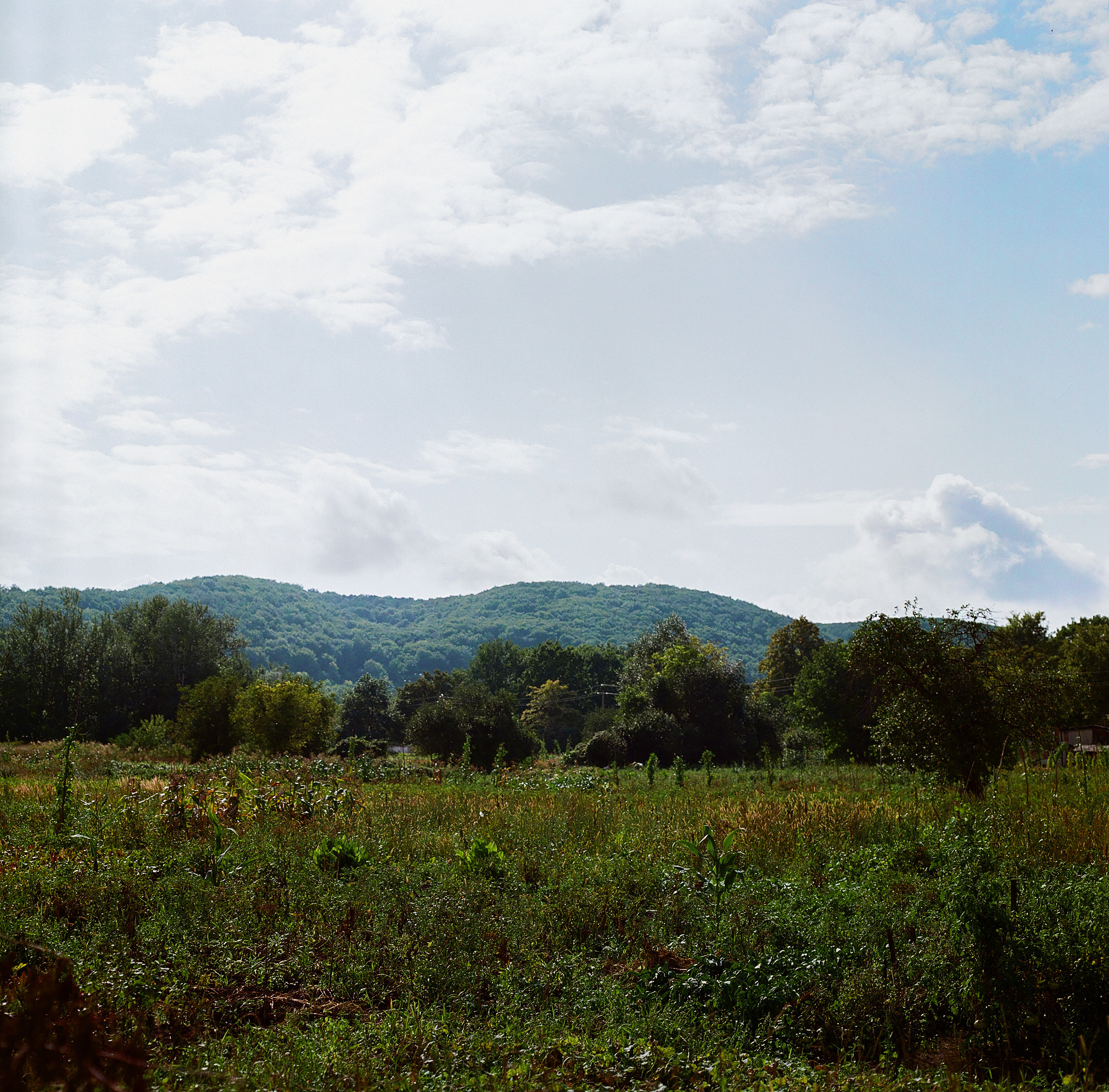Ukraine. Kseniya Halubovich Photography