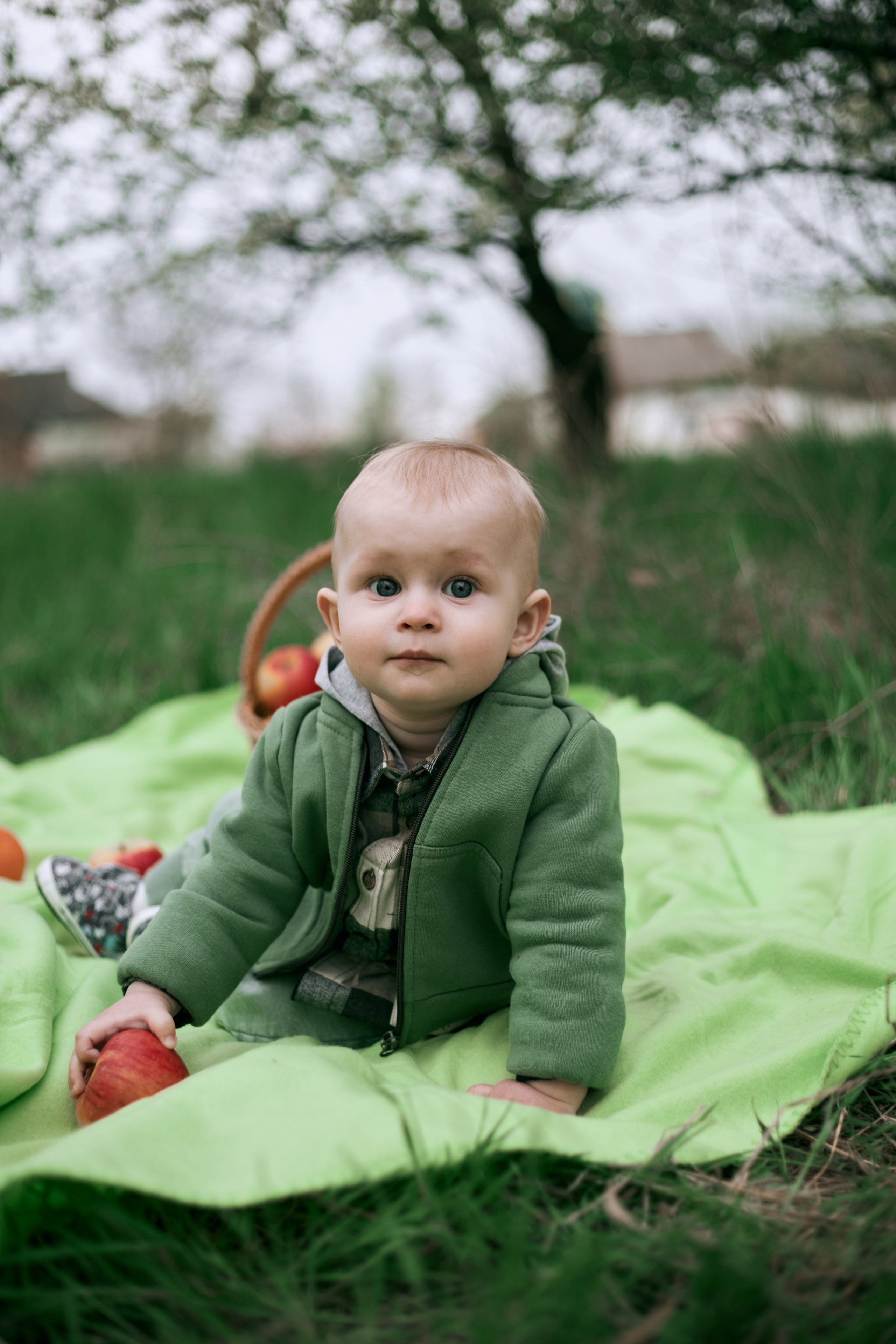 В яблуневому цвіті. Сімейний фотограф в Києві
