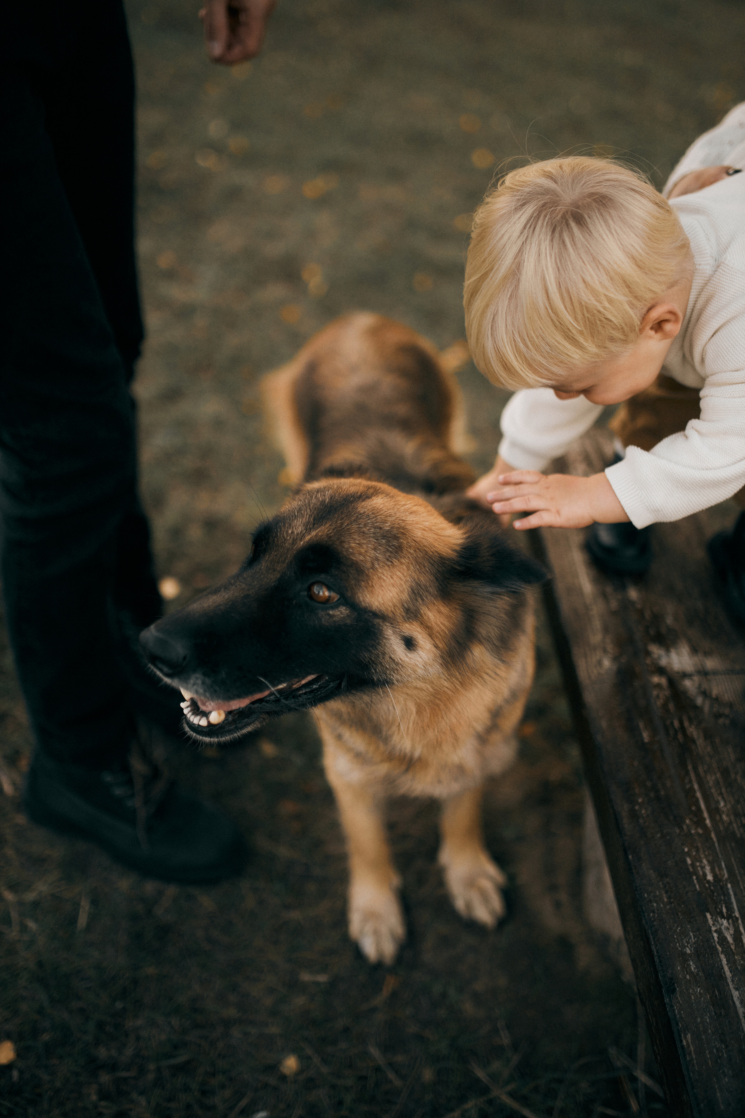 Вікторія, Денис, Назар. Сімейний фотограф в Києві