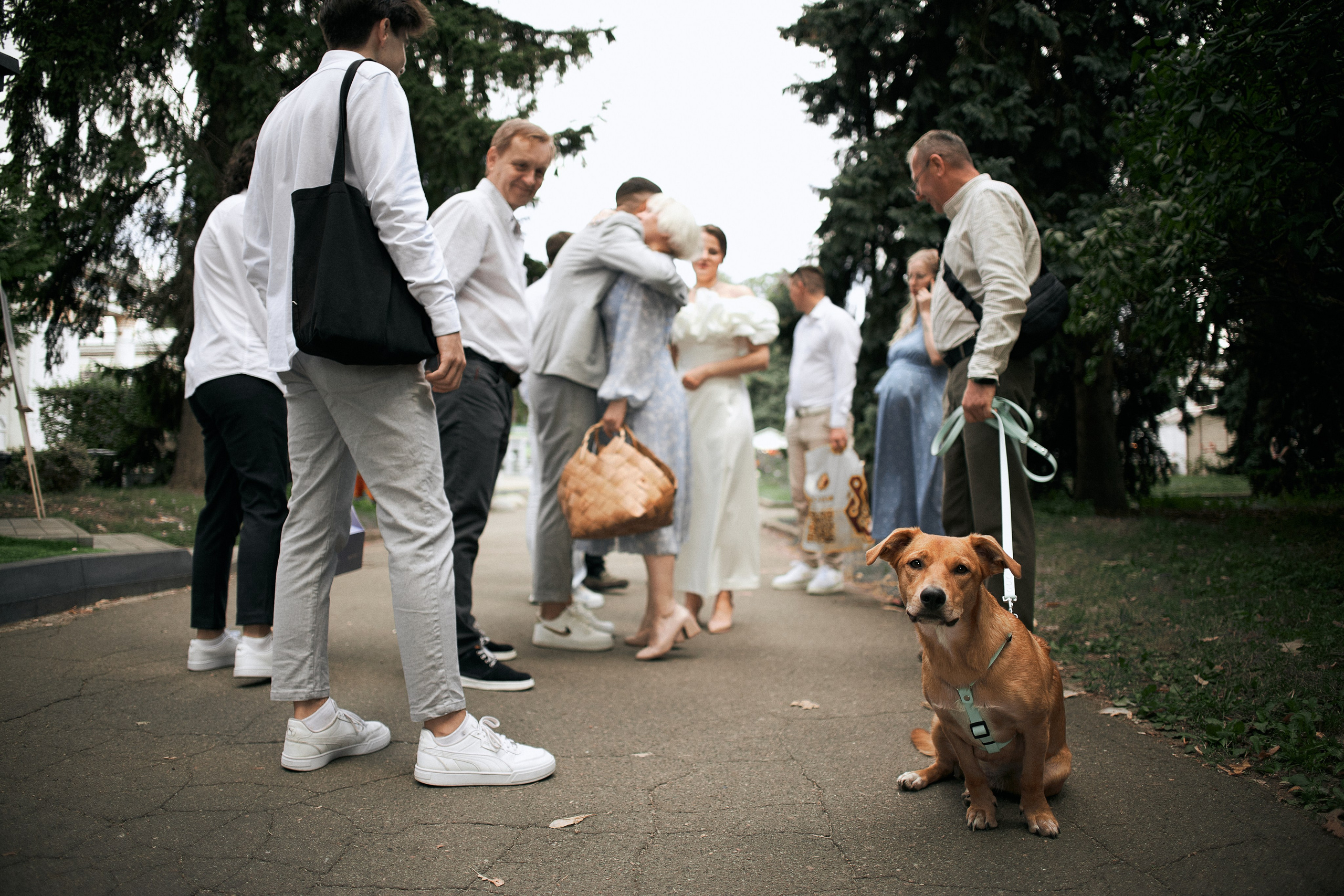 Даринка й Сашко. Сімейний фотограф в Києві