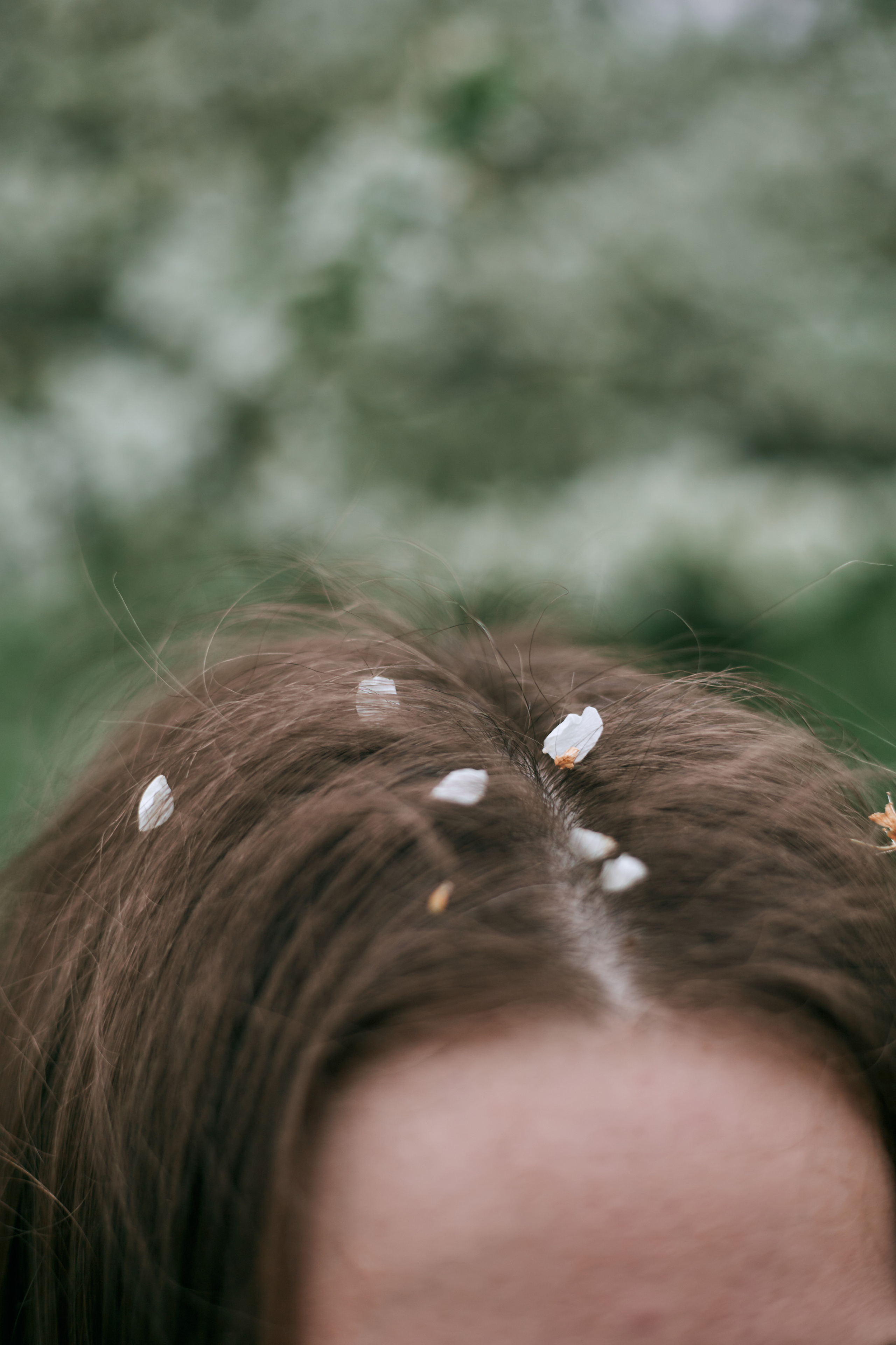 В яблуневому цвіті. Сімейний фотограф в Києві