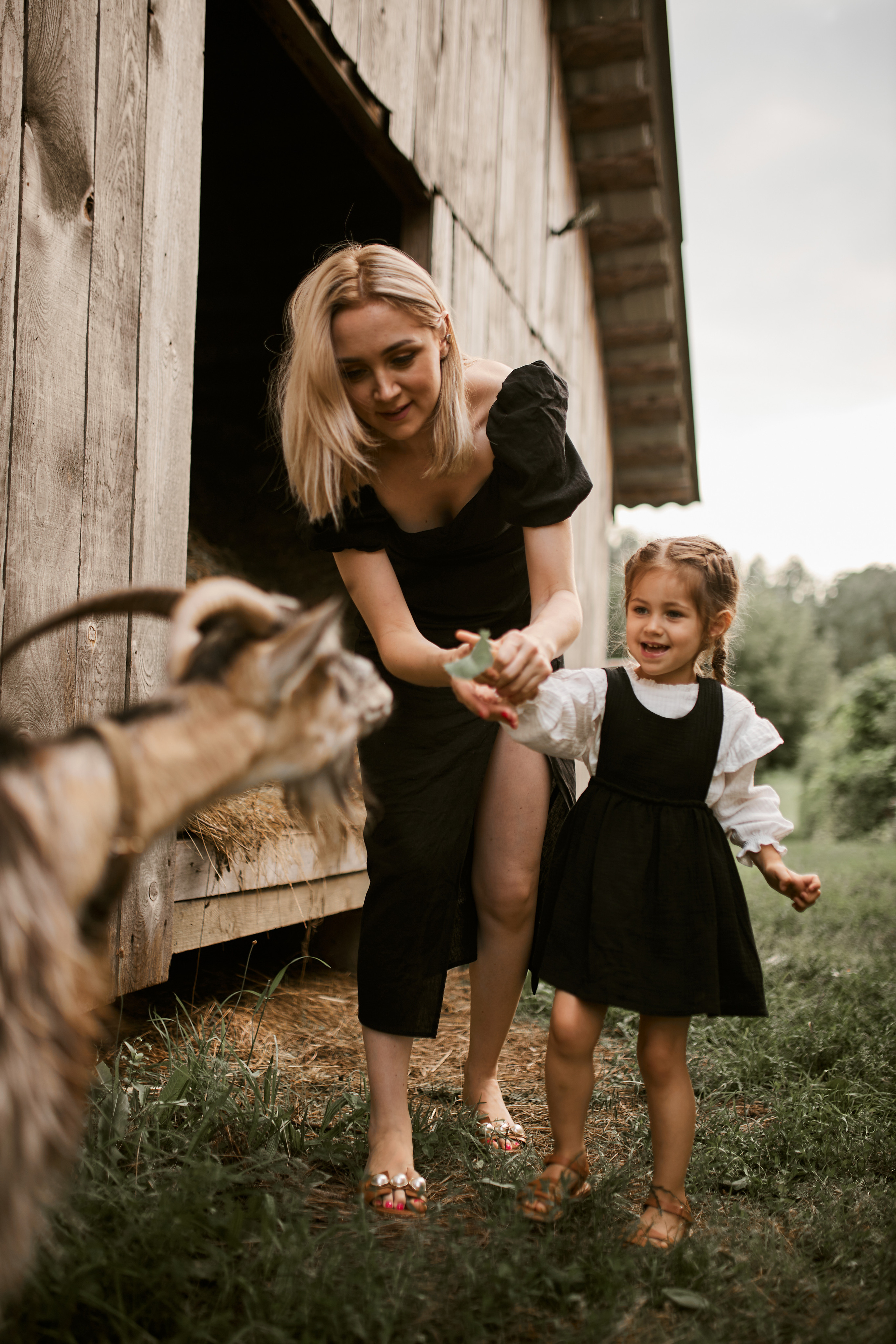 Еліна, Валерій, Ельвіна, Мартін. Сімейний фотограф в Києві