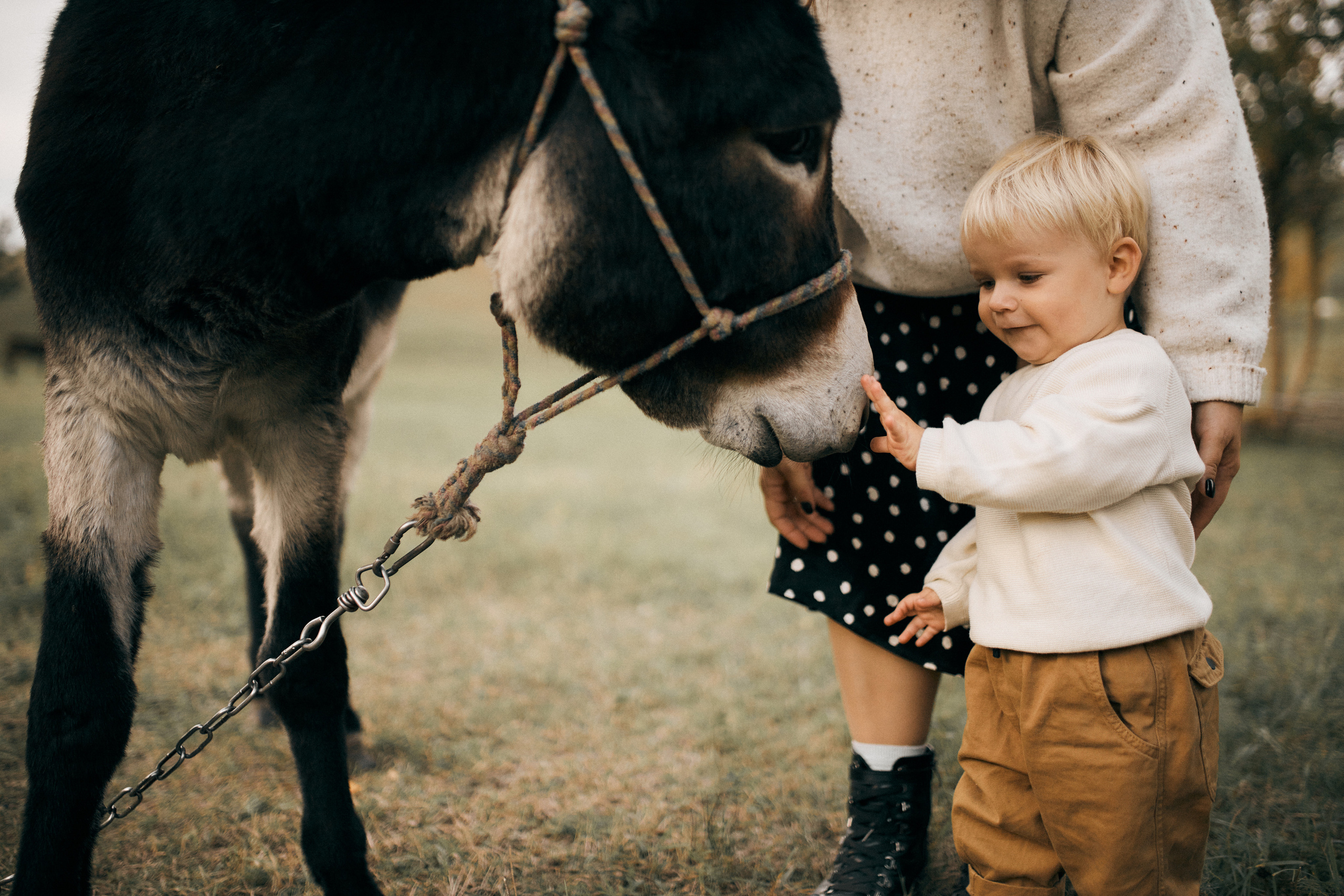 Вікторія, Денис, Назар. Сімейний фотограф в Києві