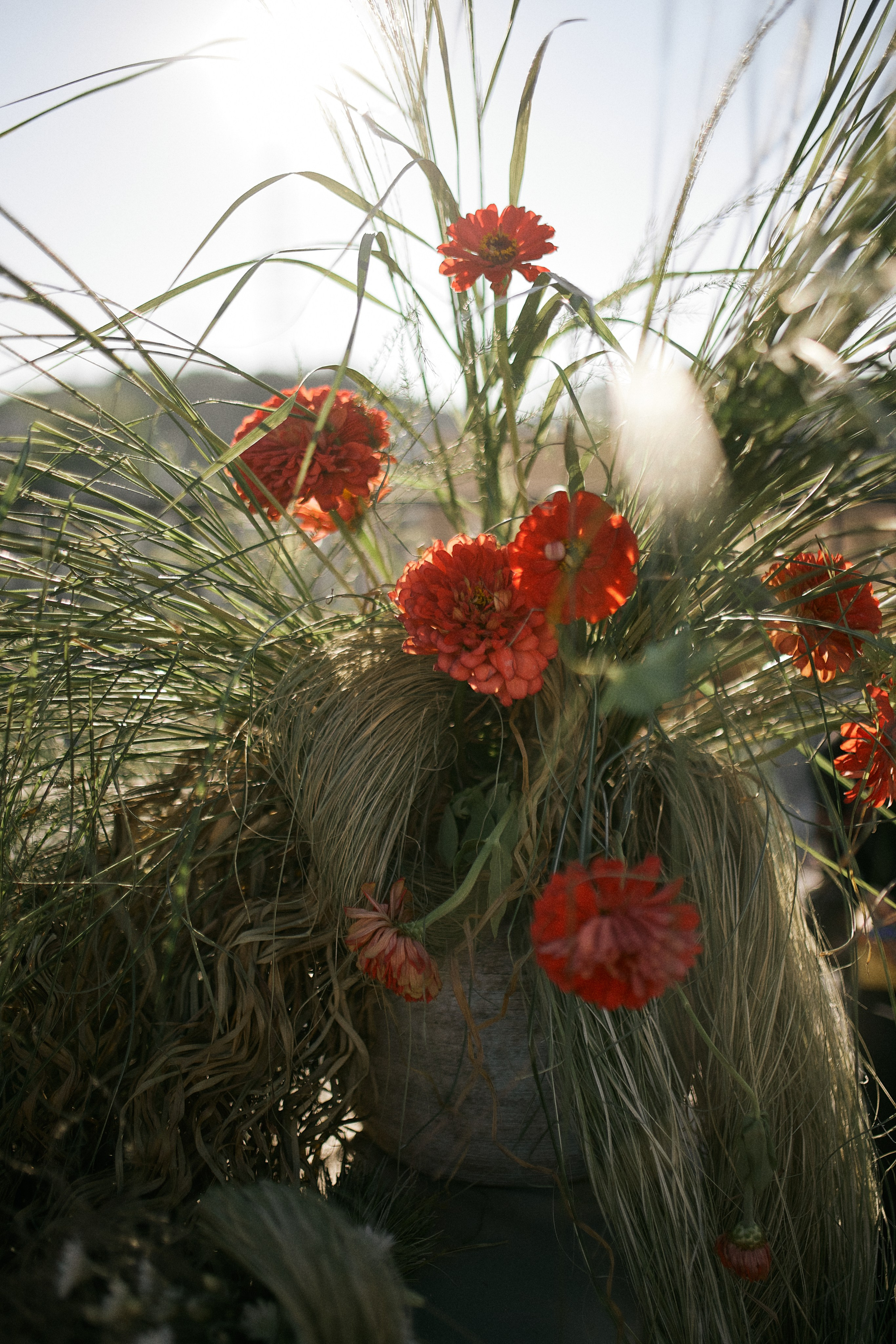 Юлія та Олександр. Сімейний фотограф в Києві