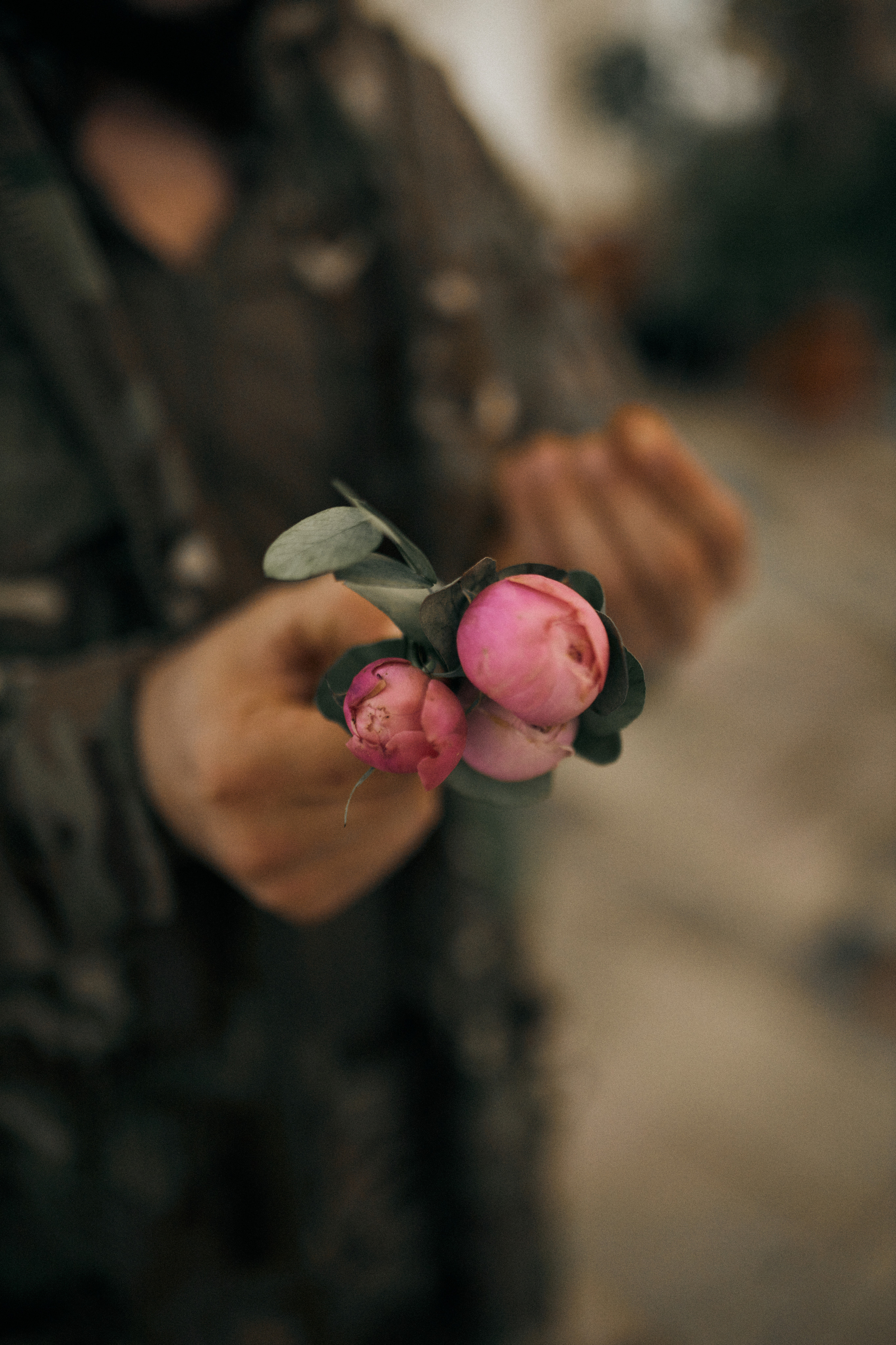 Антон й Анастасія. Сімейний фотограф в Києві
