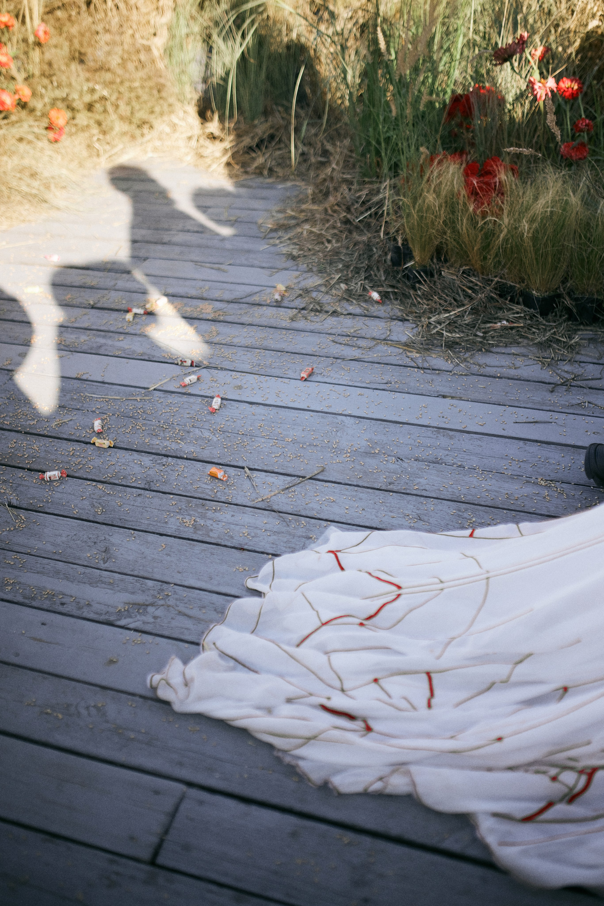 Юлія та Олександр. Сімейний фотограф в Києві