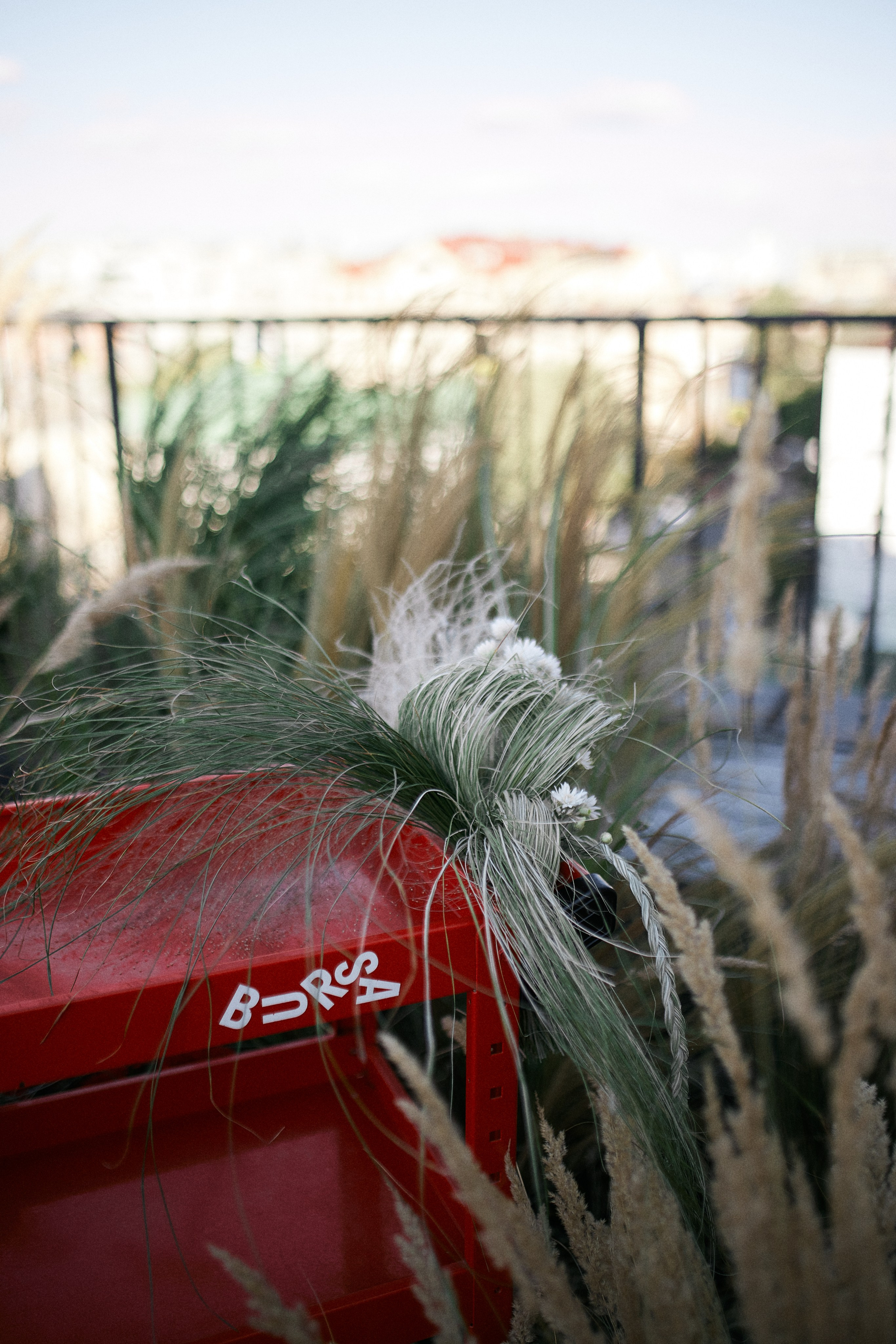 Юлія та Олександр. Сімейний фотограф в Києві