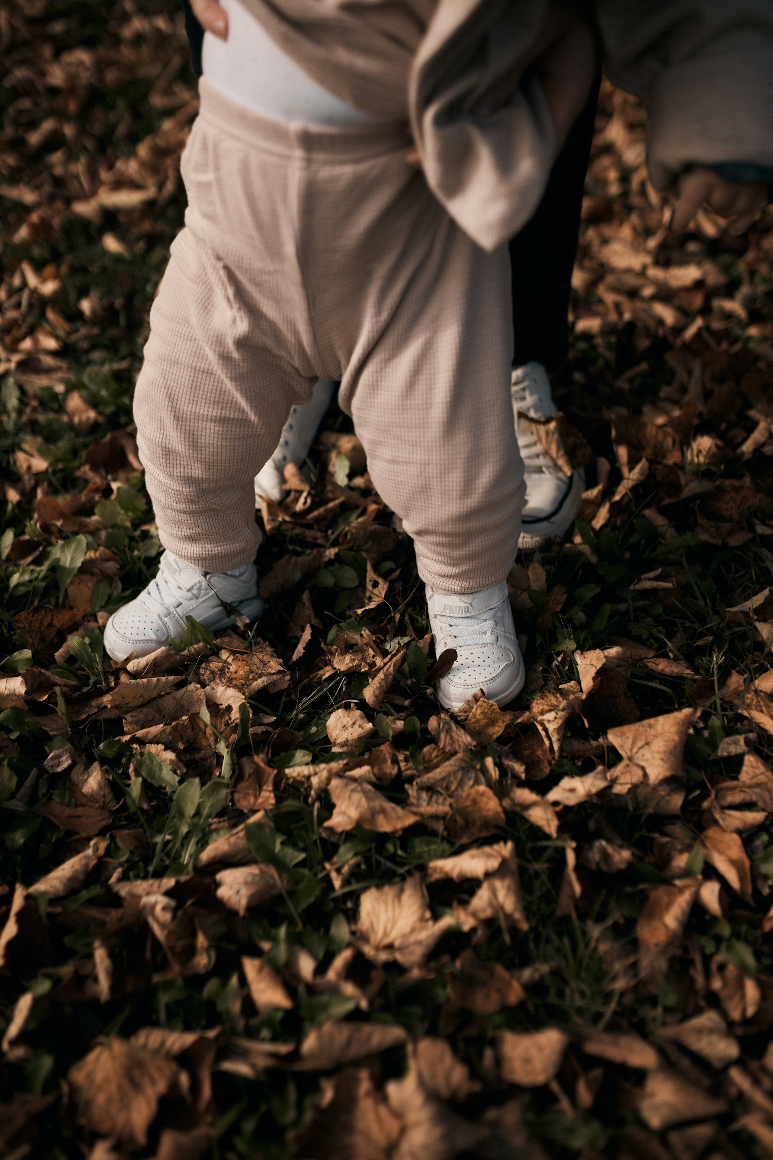 Оля, Віталій, Софійка. Сімейний фотограф в Києві