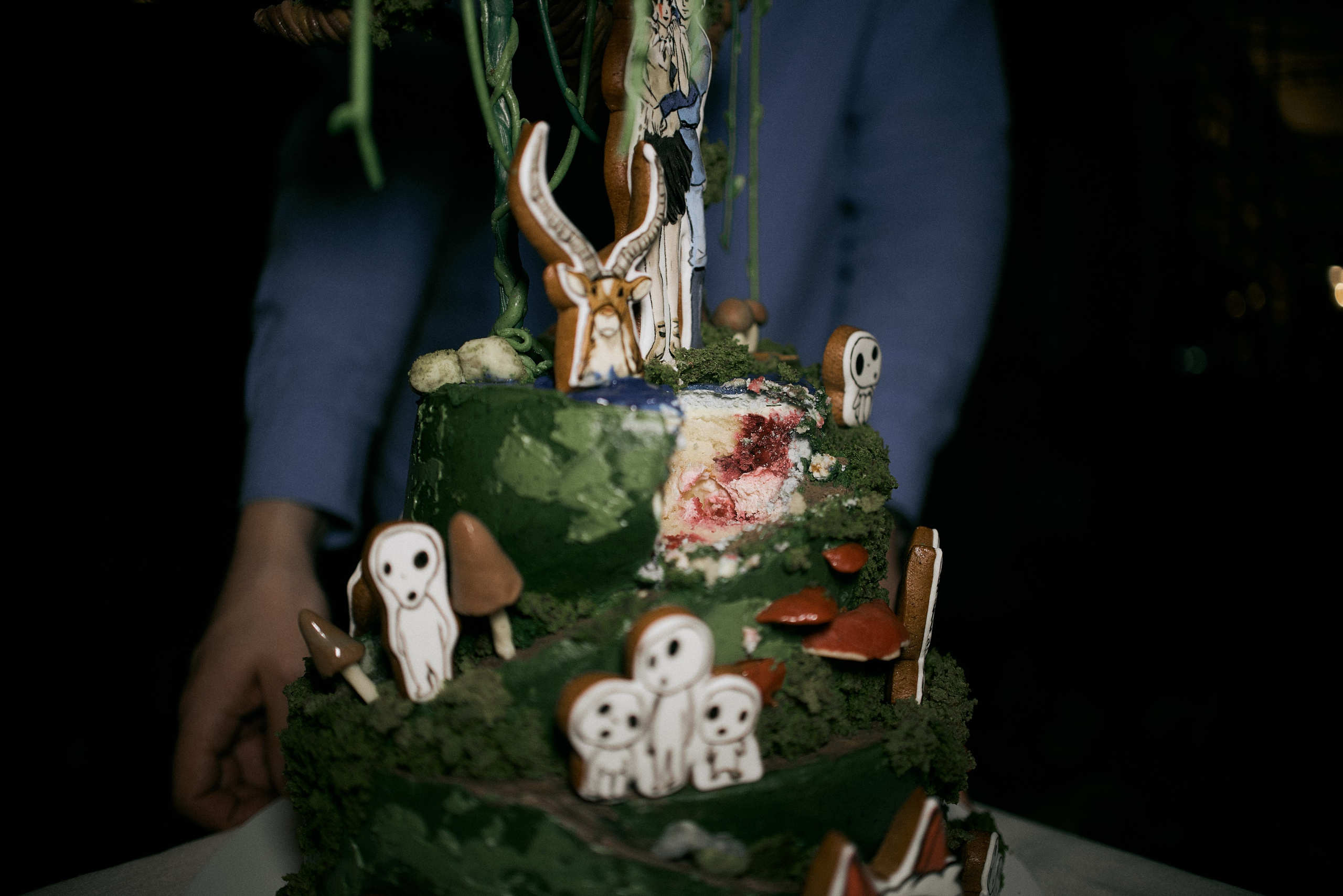 Анастасія й Василь. Сімейний фотограф в Києві