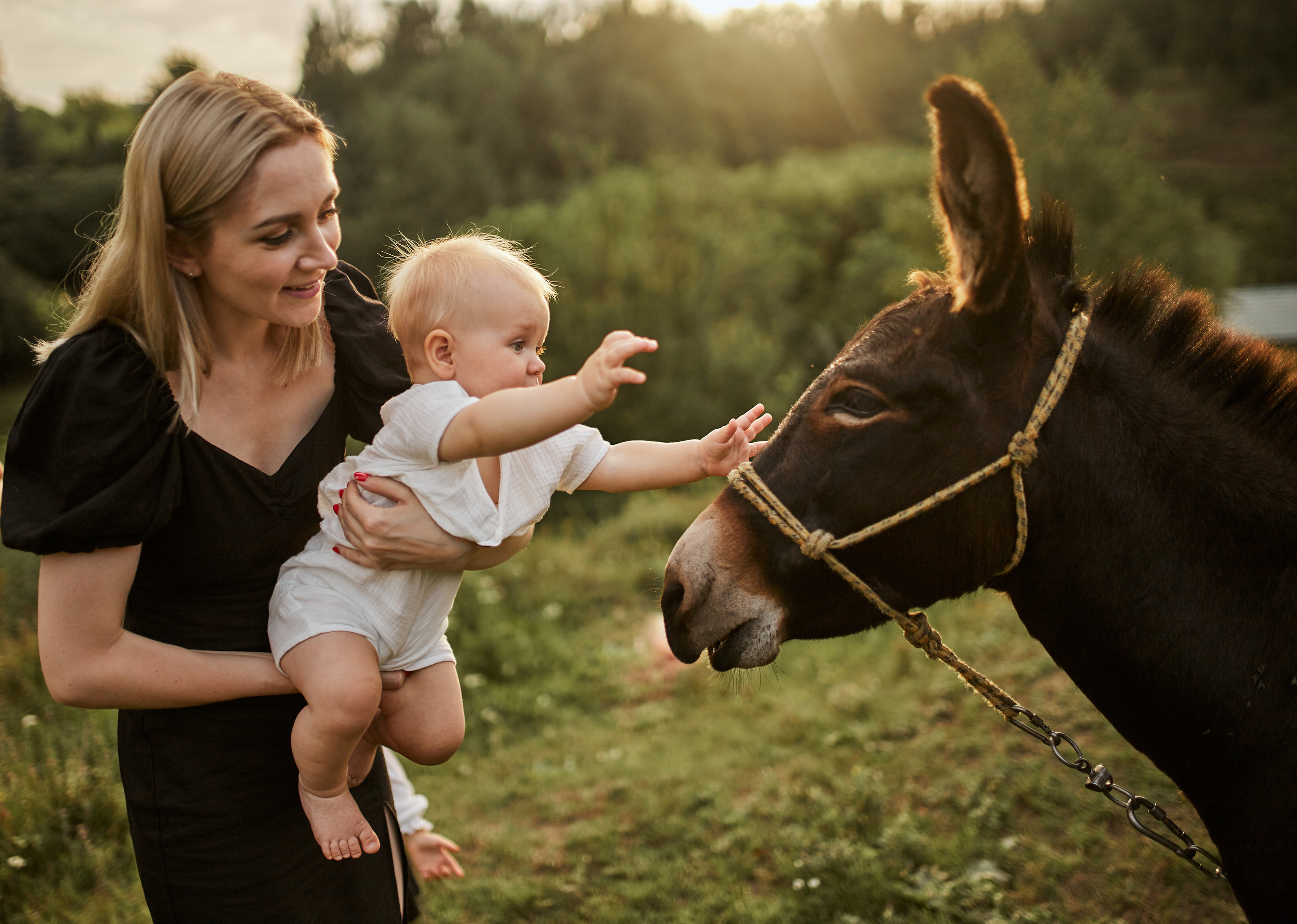 Еліна, Валерій, Ельвіна, Мартін. Сімейний фотограф в Києві
