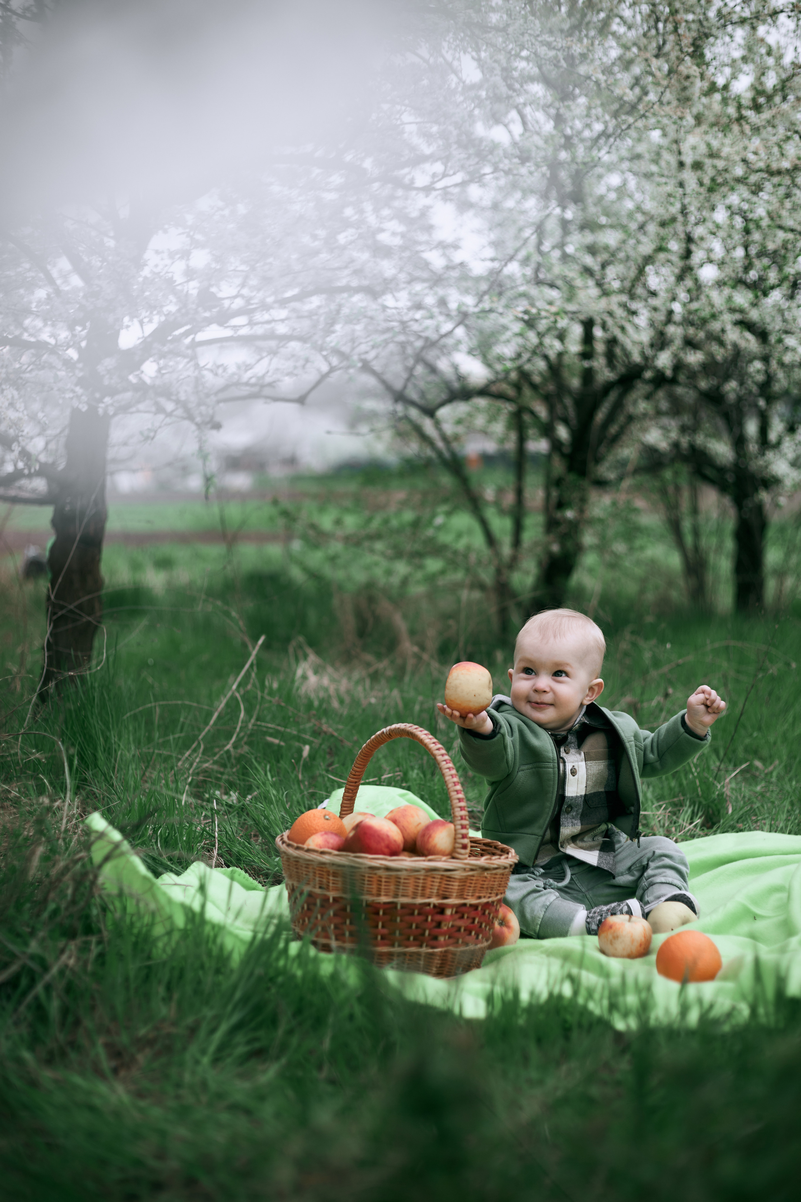 В яблуневому цвіті. Сімейний фотограф в Києві