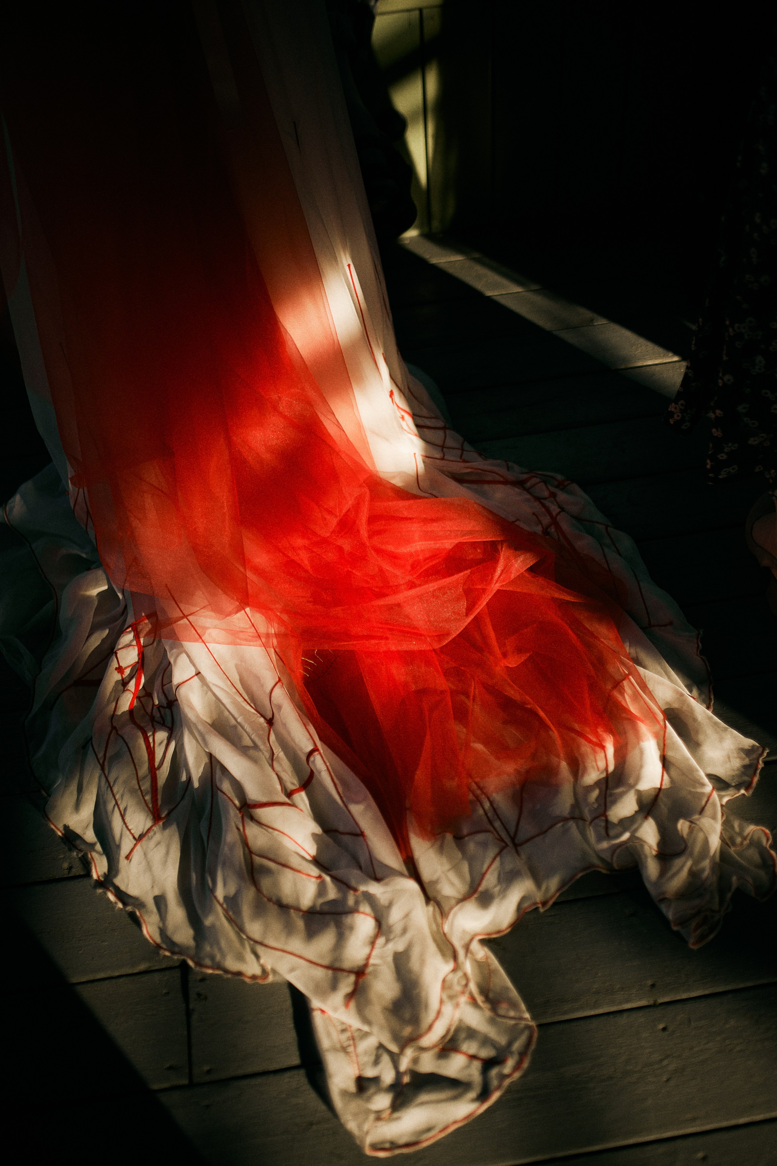 Юлія та Олександр. Сімейний фотограф в Києві