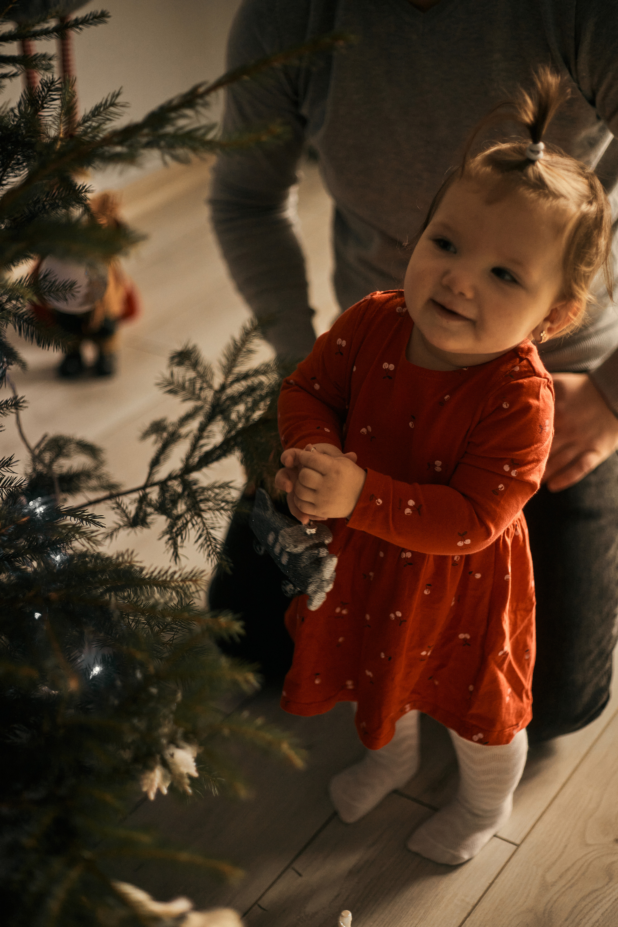 Ранок перед Різдвом. Сімейний фотограф в Києві