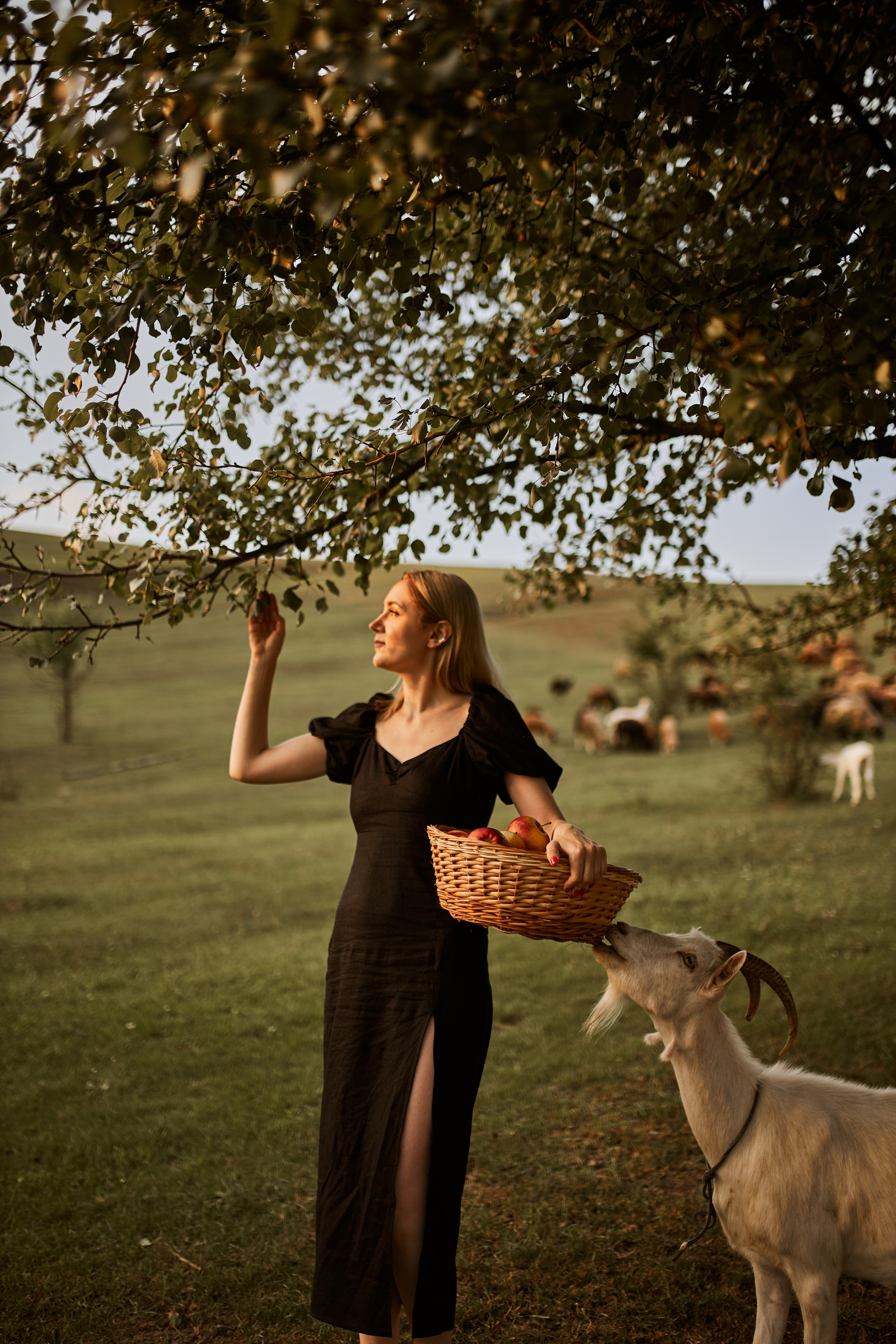 Еліна, Валерій, Ельвіна, Мартін. Сімейний фотограф в Києві
