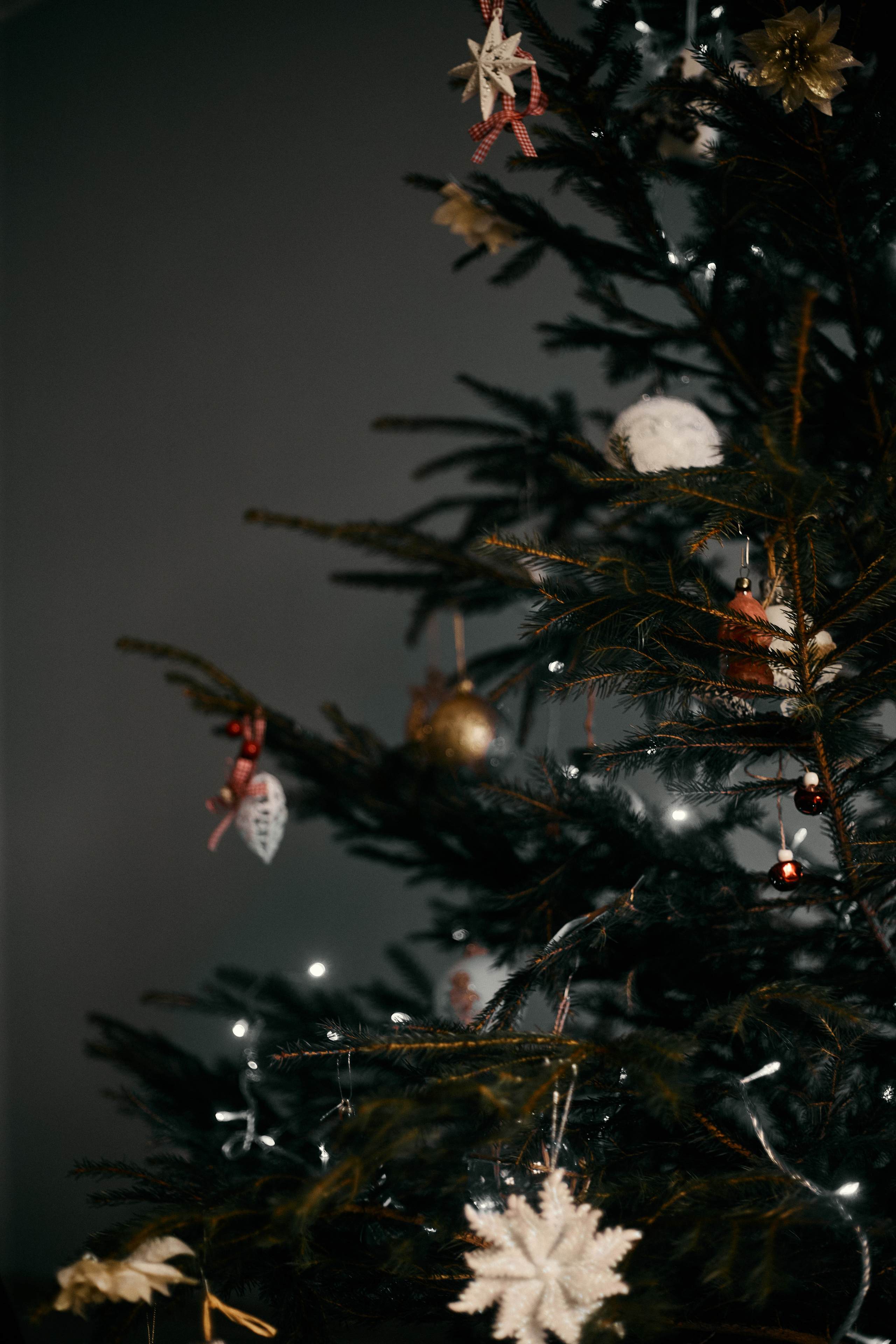 Ранок перед Різдвом. Сімейний фотограф в Києві